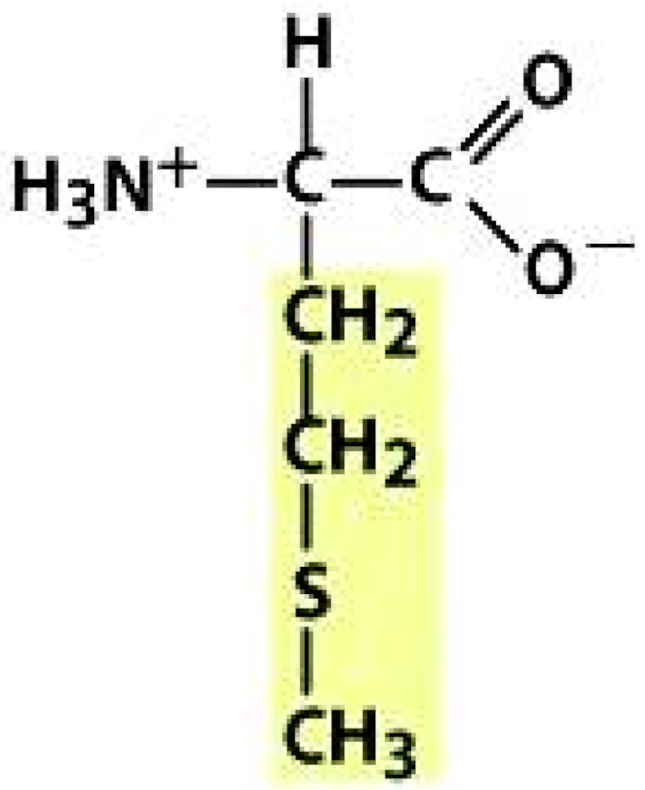 Molecules 26 03279 i020