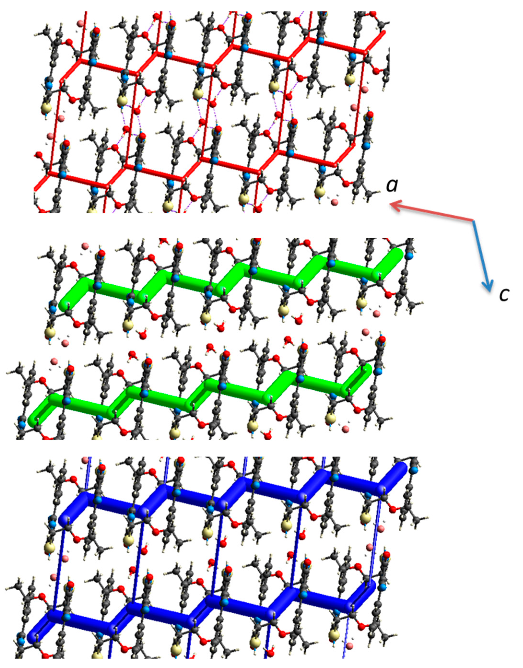 Molecules 26 03286 g006