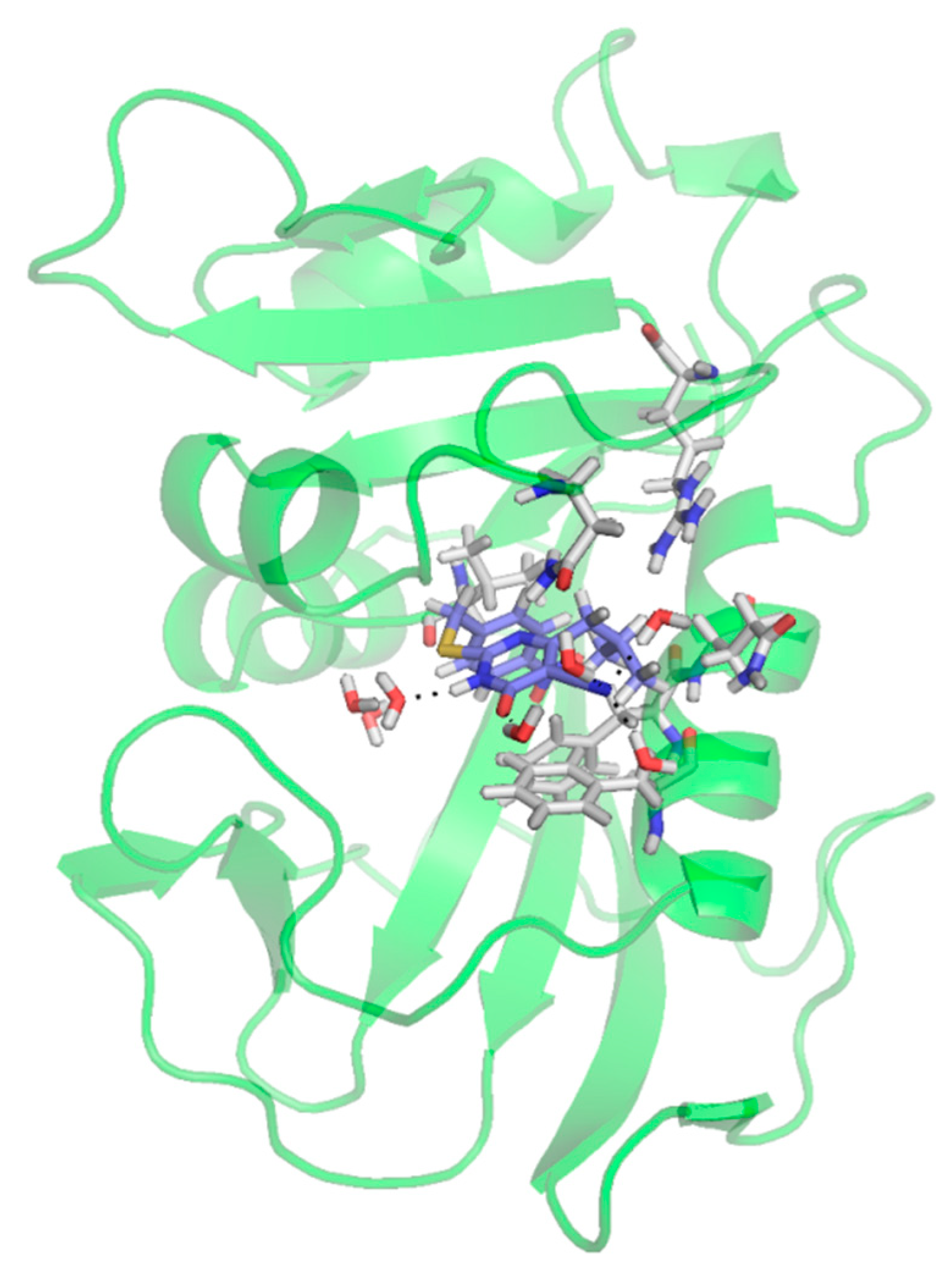 Molecules 26 03286 g010