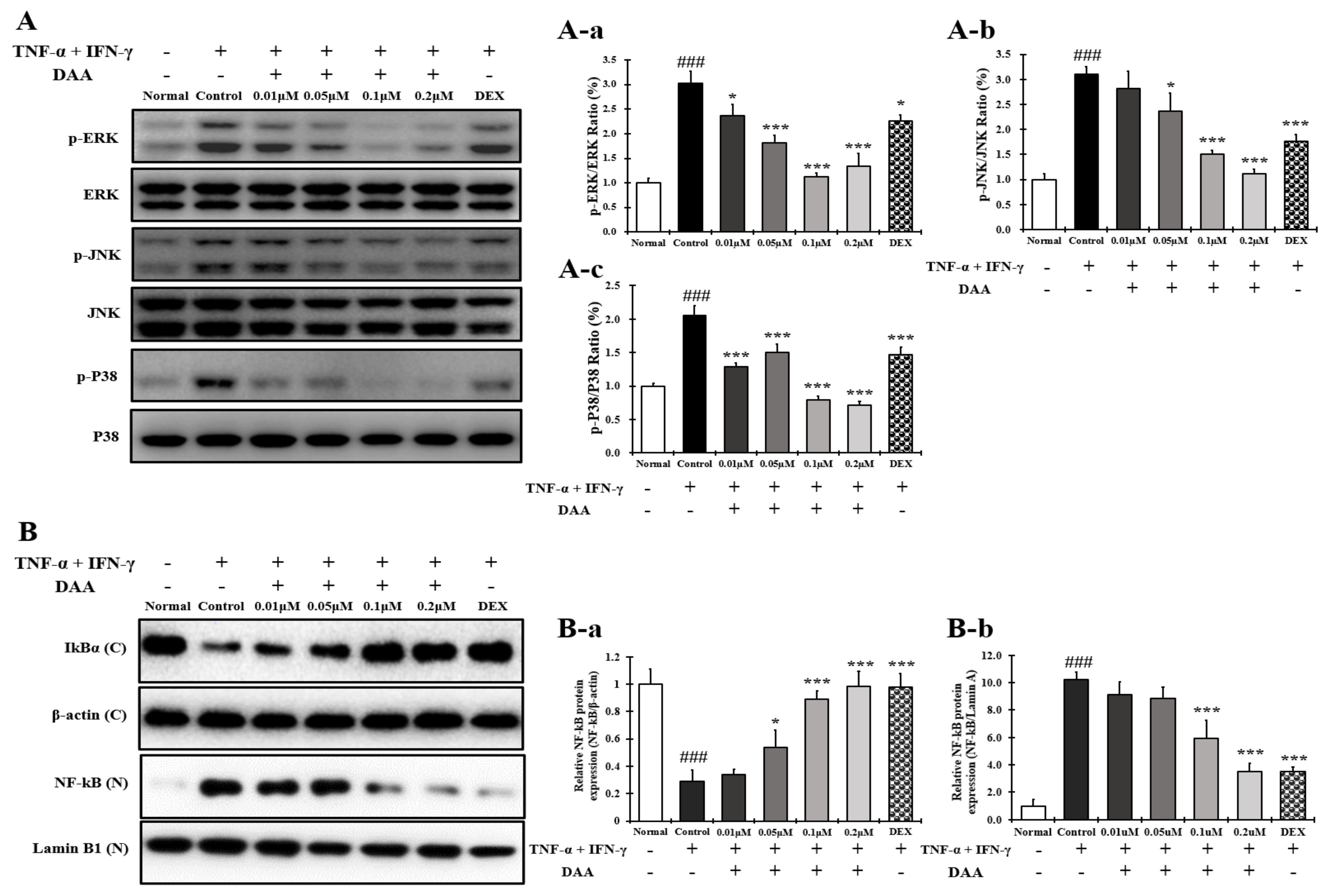 Molecules 26 03298 g009 Molecules 26 03298 g009