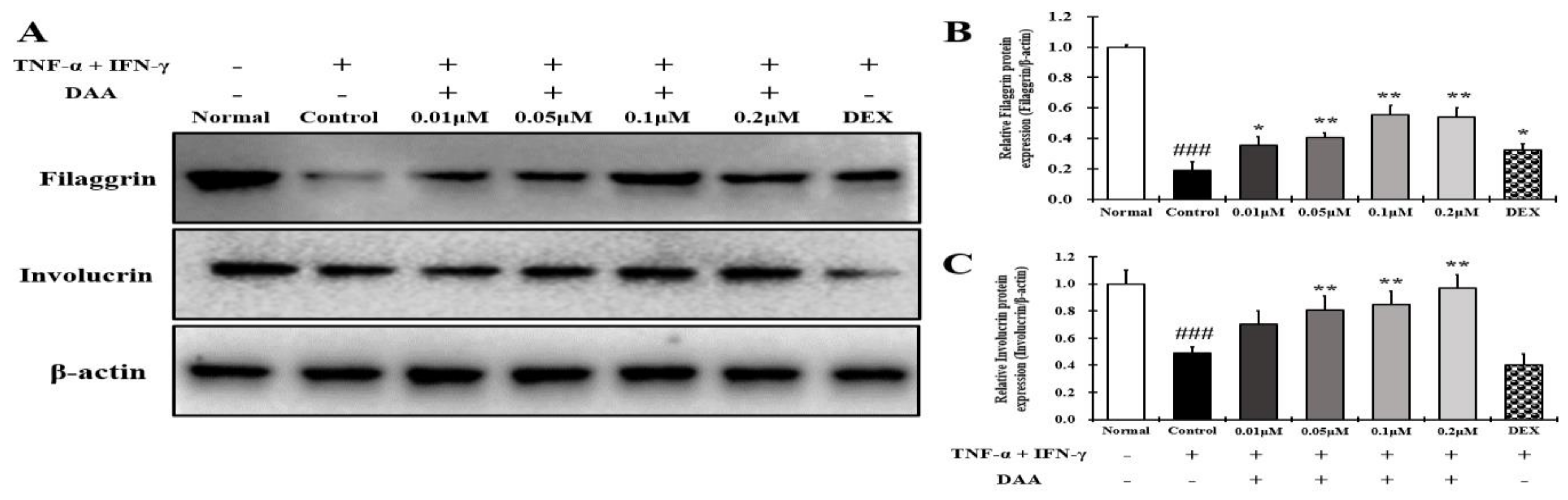 Molecules 26 03298 g010 Molecules 26 03298 g010