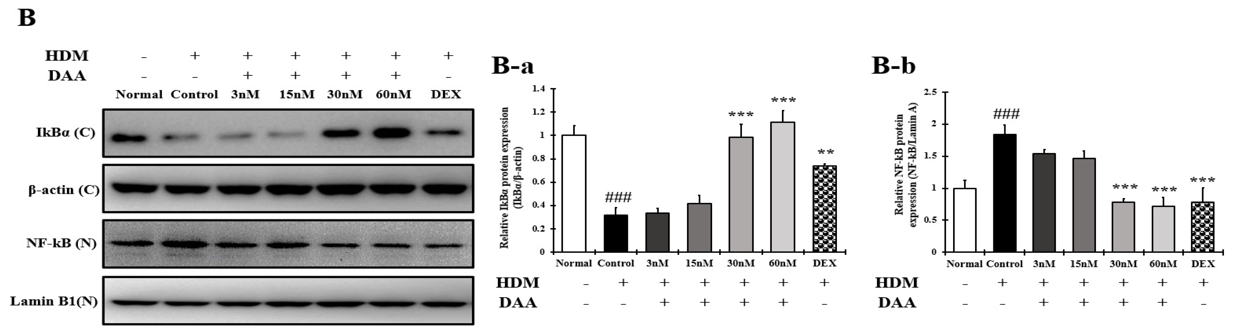 Molecules 26 03298 g016b Molecules 26 03298 g016b