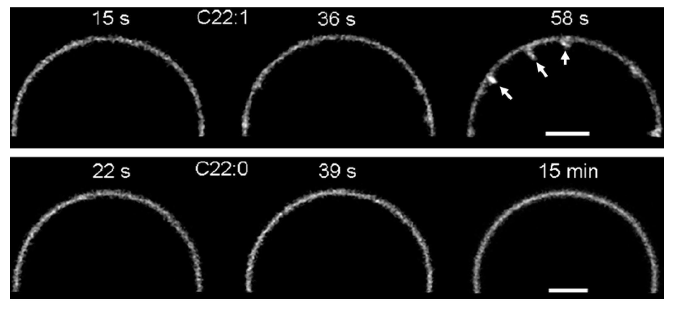 Molecules 26 03299 g006 Molecules 26 03299 g006