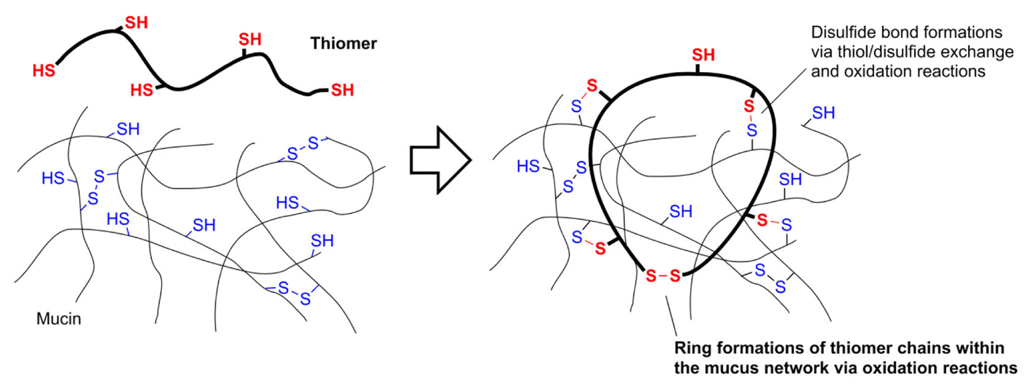 Molecules 26 03332 g009