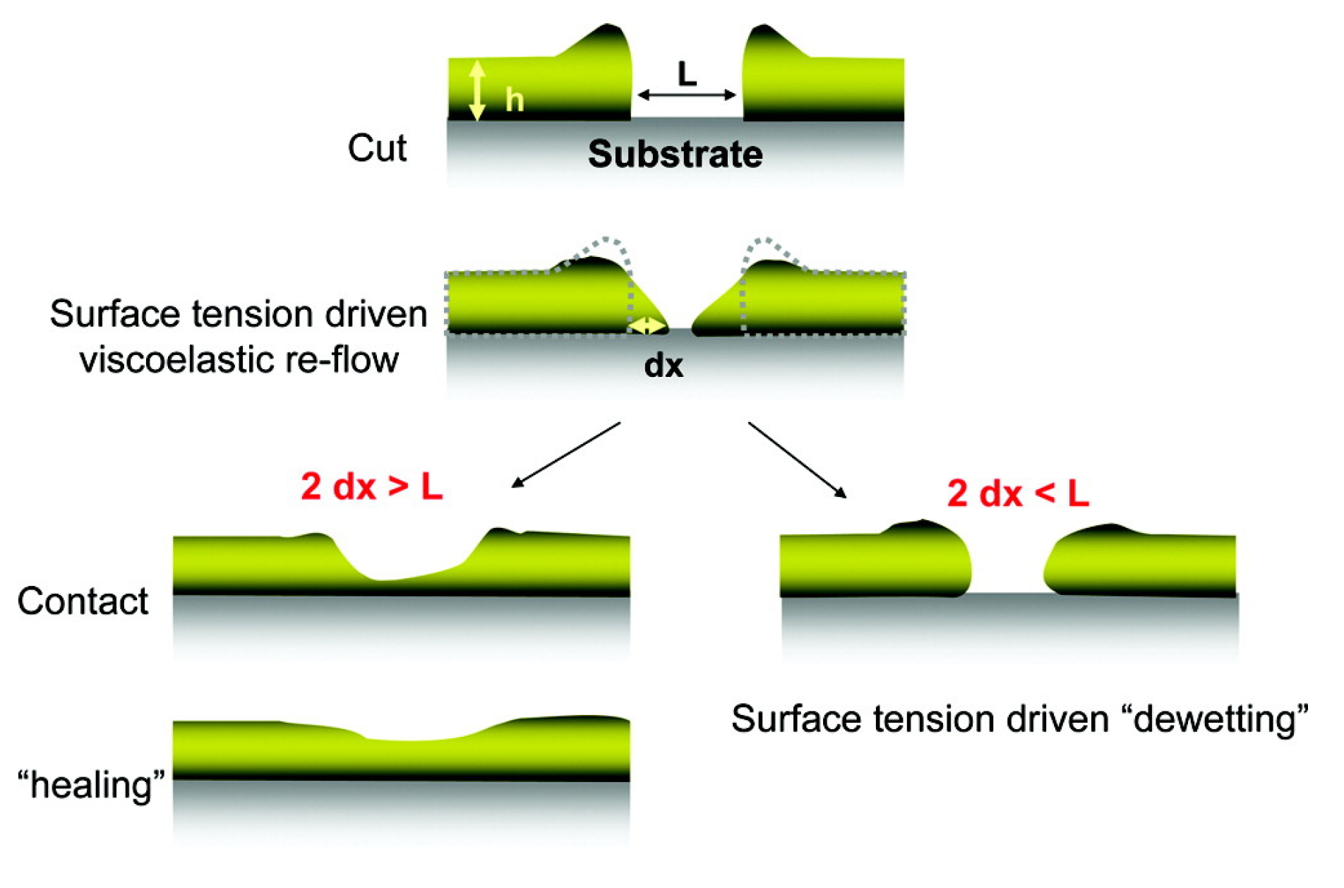 Molecules 26 03332 g014