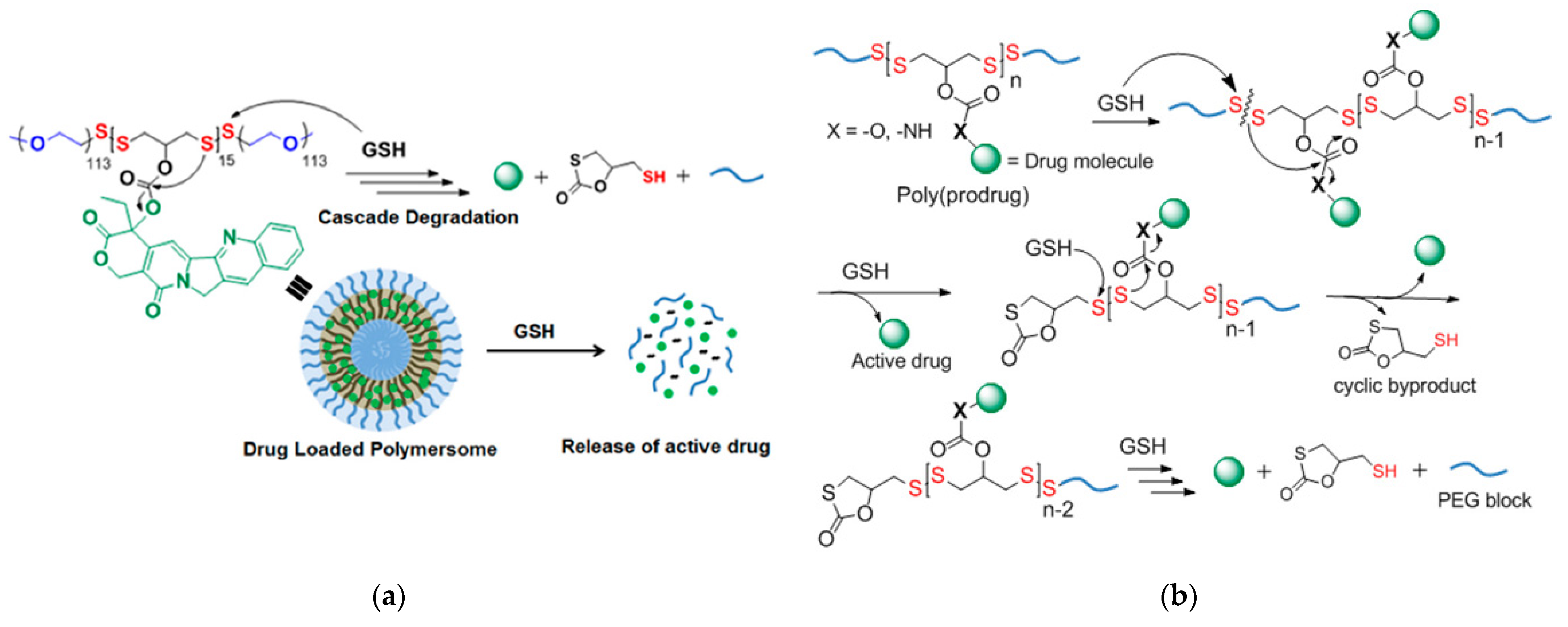 Molecules 26 03332 g021