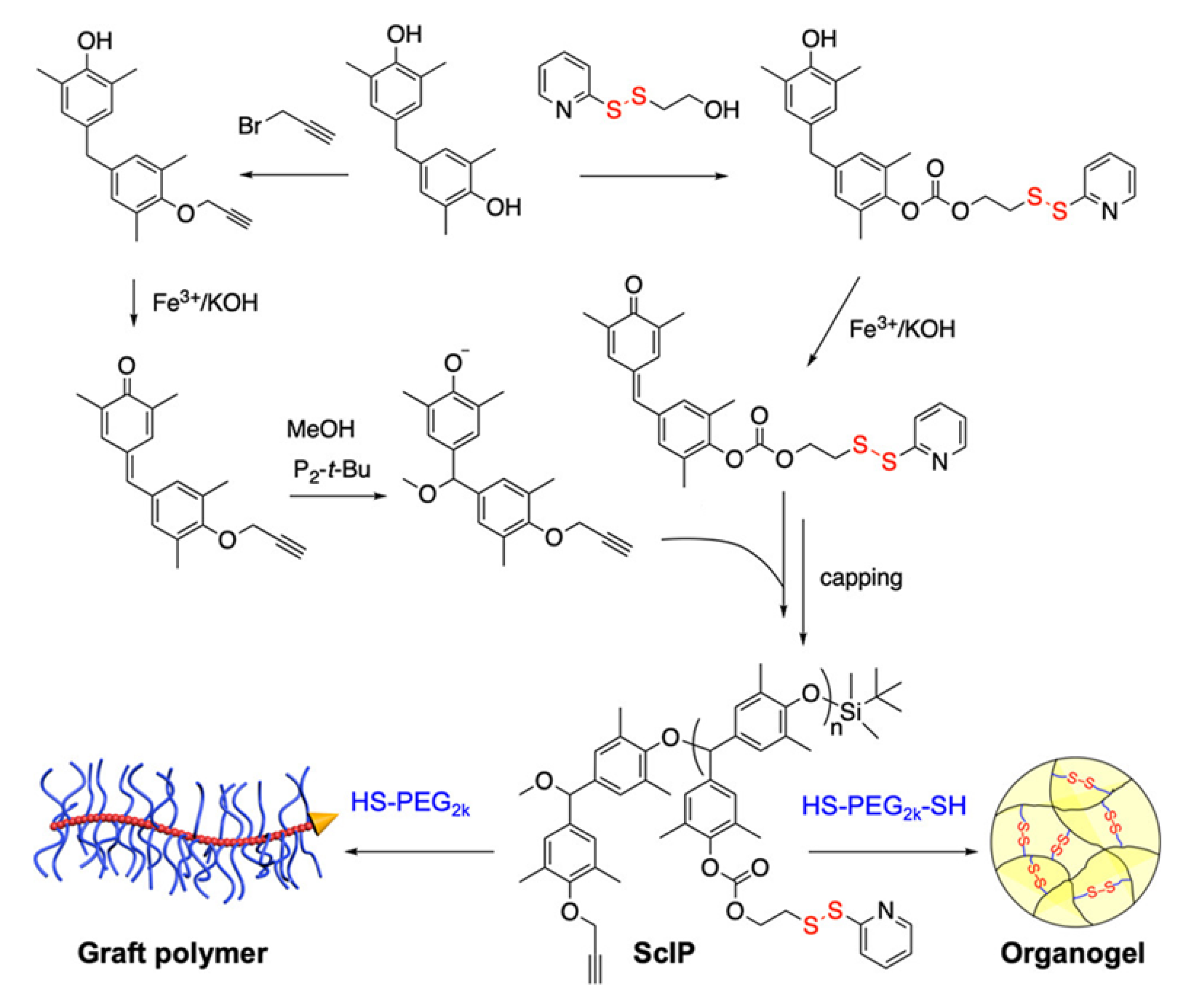 Molecules 26 03332 g023