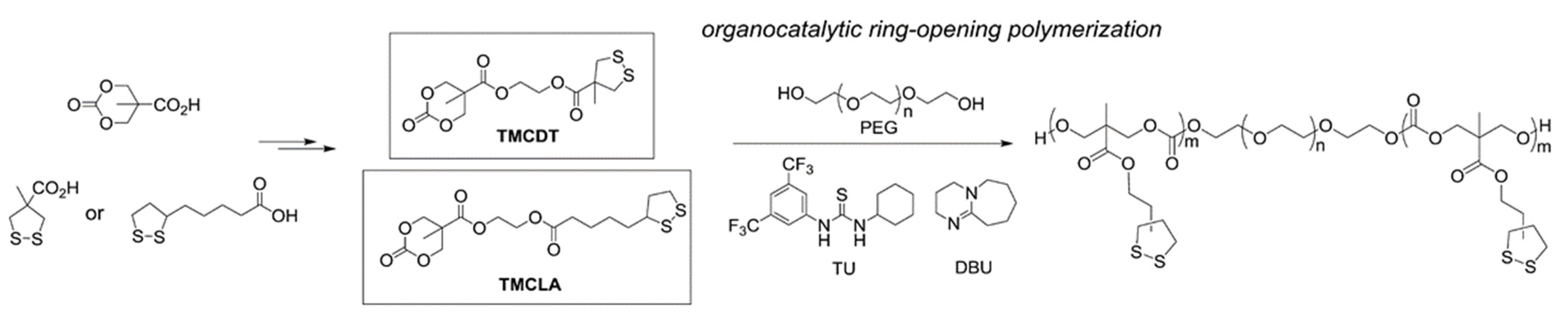 Molecules 26 03332 g028