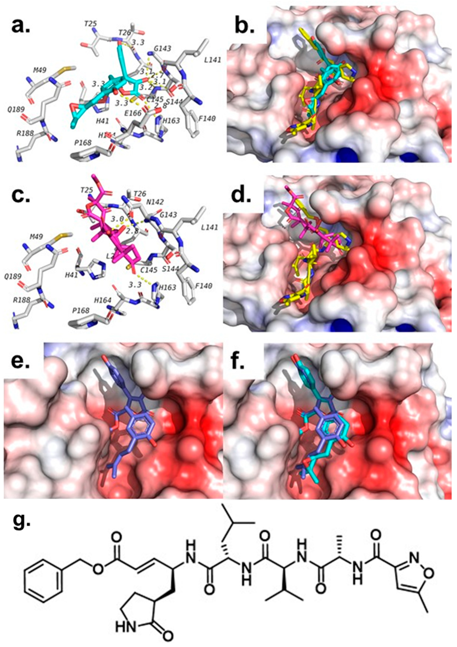 Molecules 26 03354 g004 Molecules 26 03354 g004