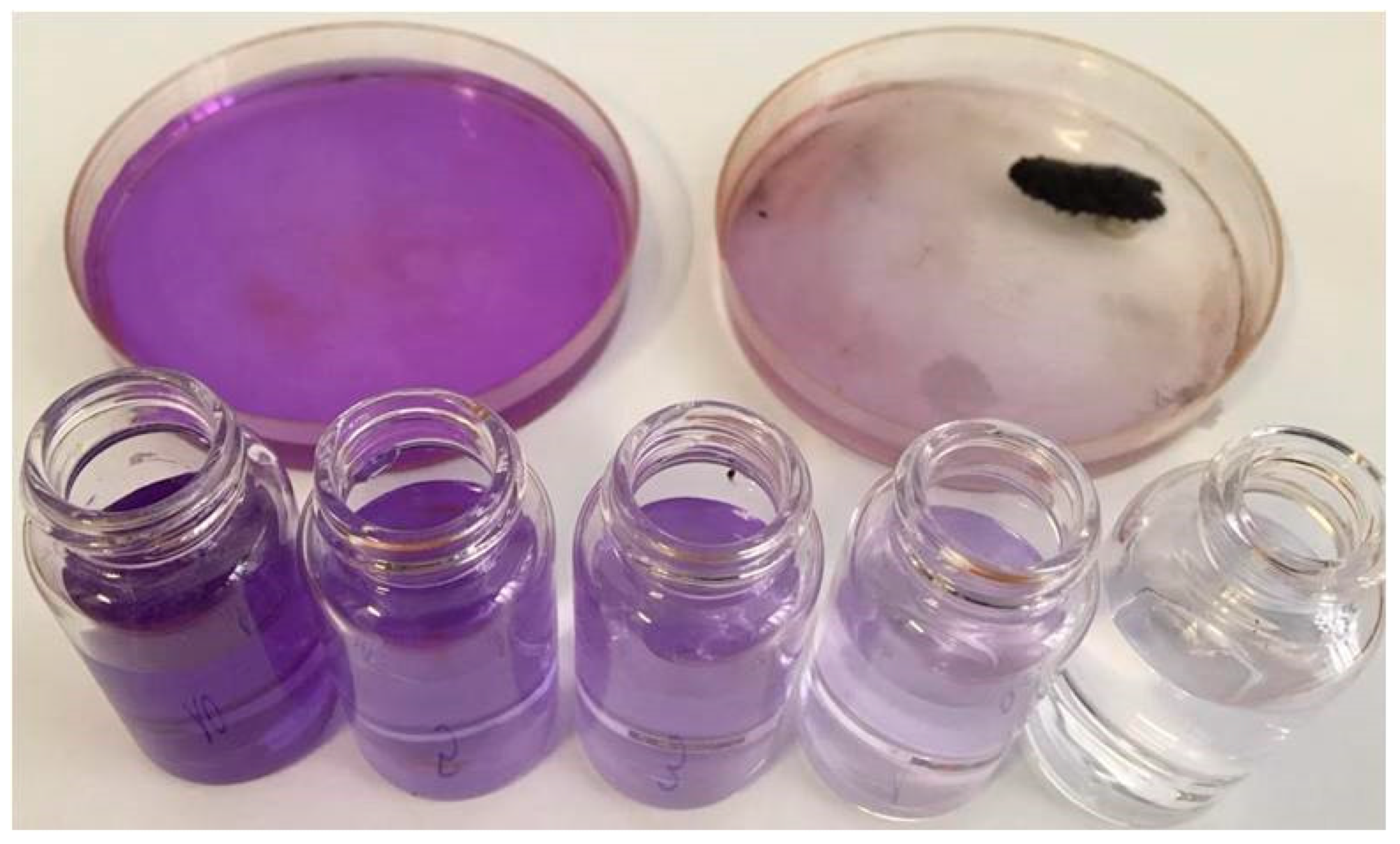 Molecules 26 03361 g002 Molecules 26 03361 g002