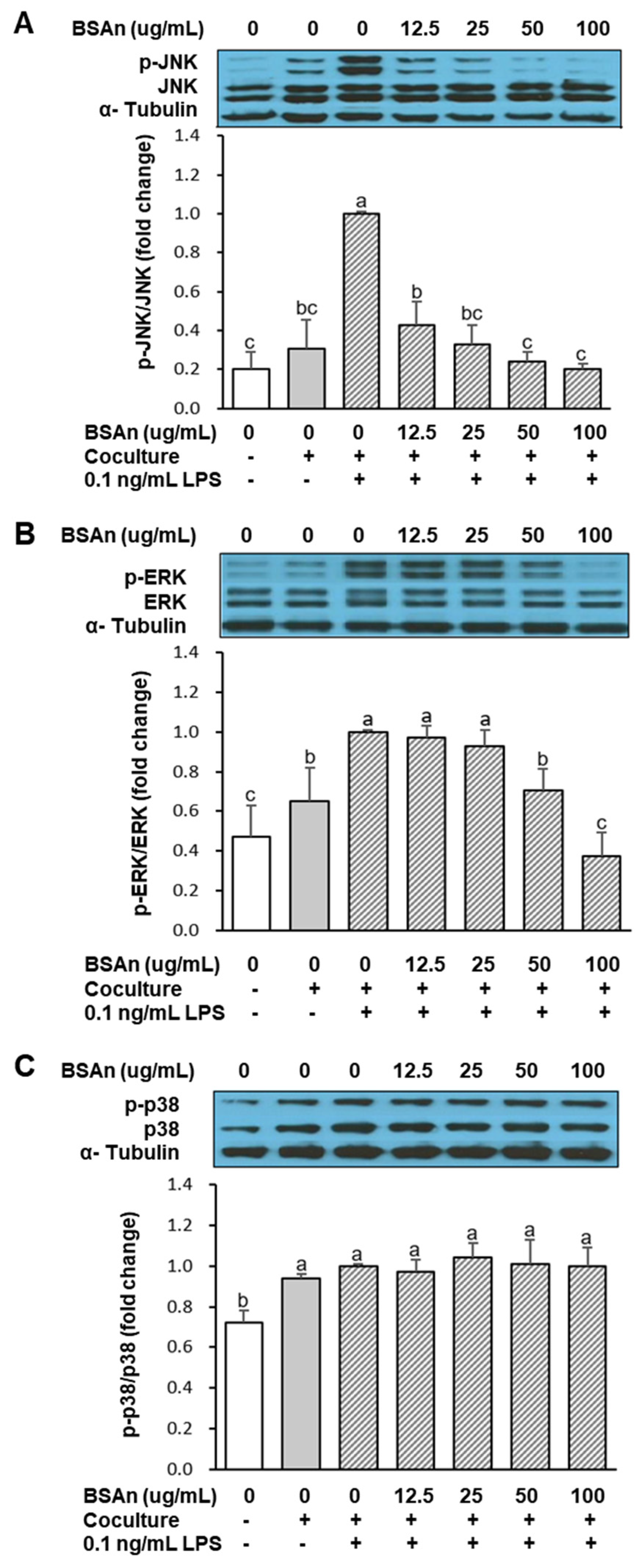 Molecules 26 03363 g004