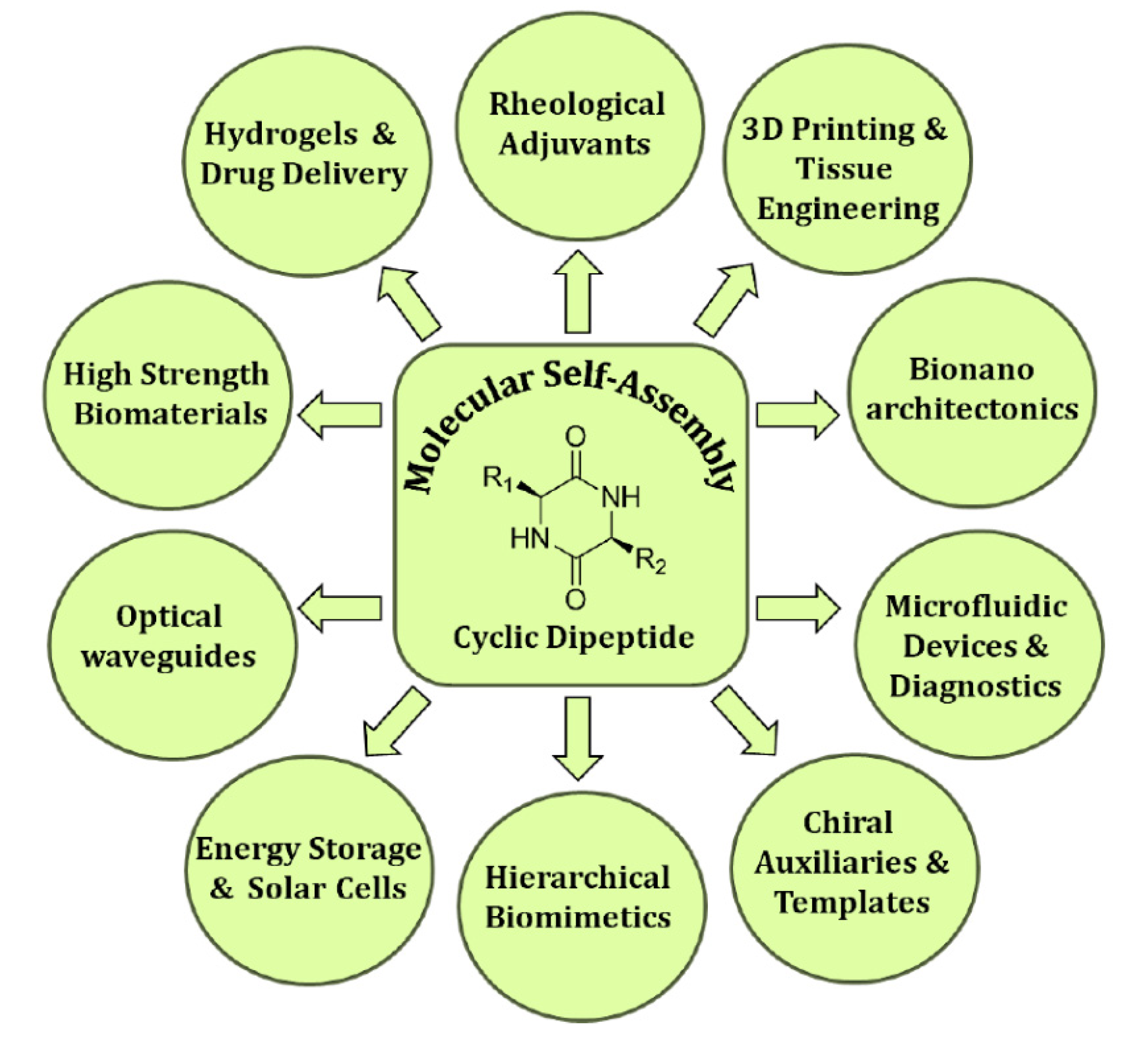 Molecules 26 03376 g006 Molecules 26 03376 g006