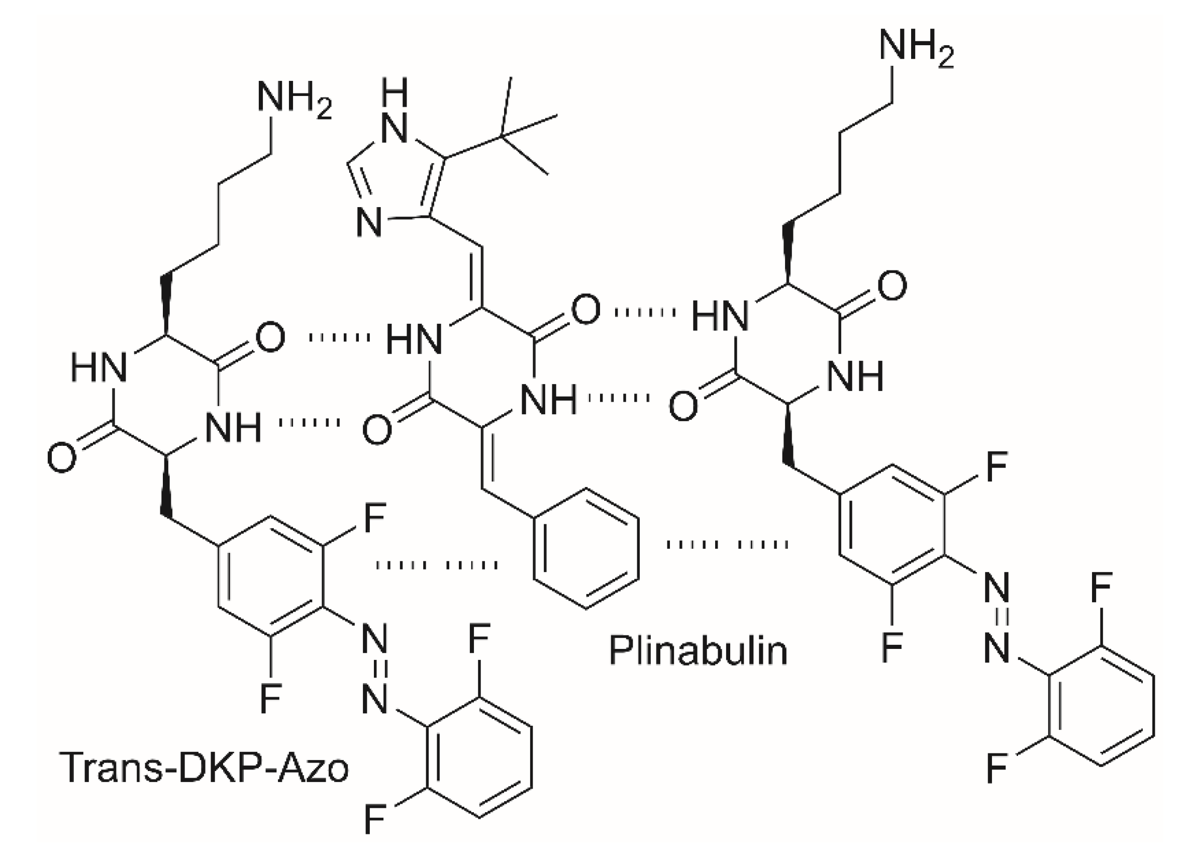 Molecules 26 03376 sch004 Molecules 26 03376 sch004