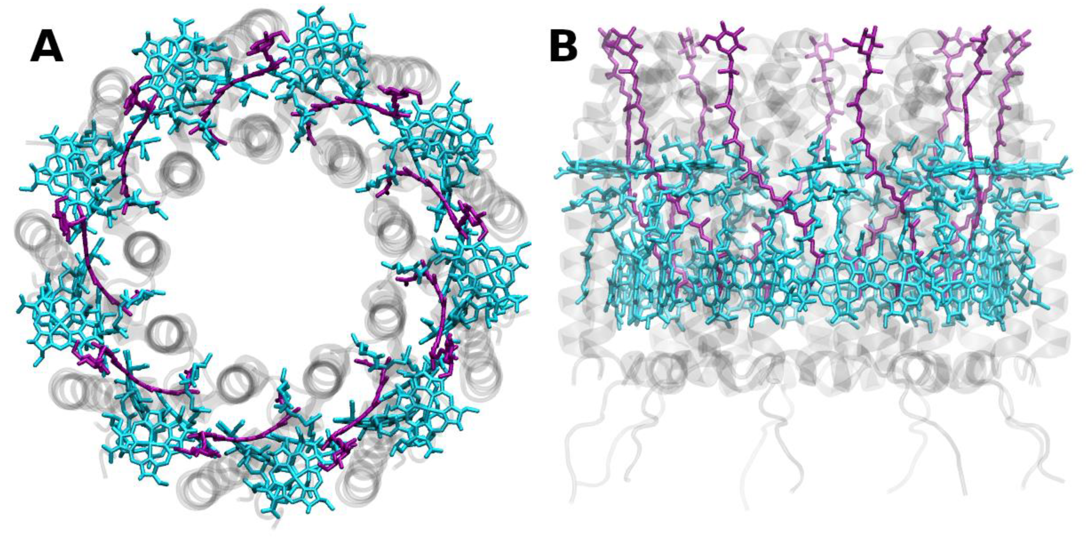 Molecules 26 03378 g008