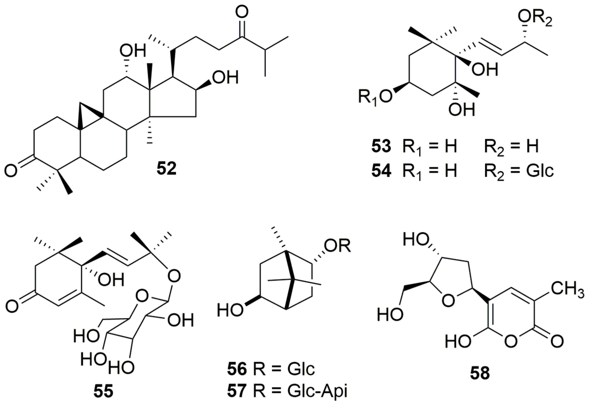 Molecules 26 03396 g005 Molecules 26 03396 g005