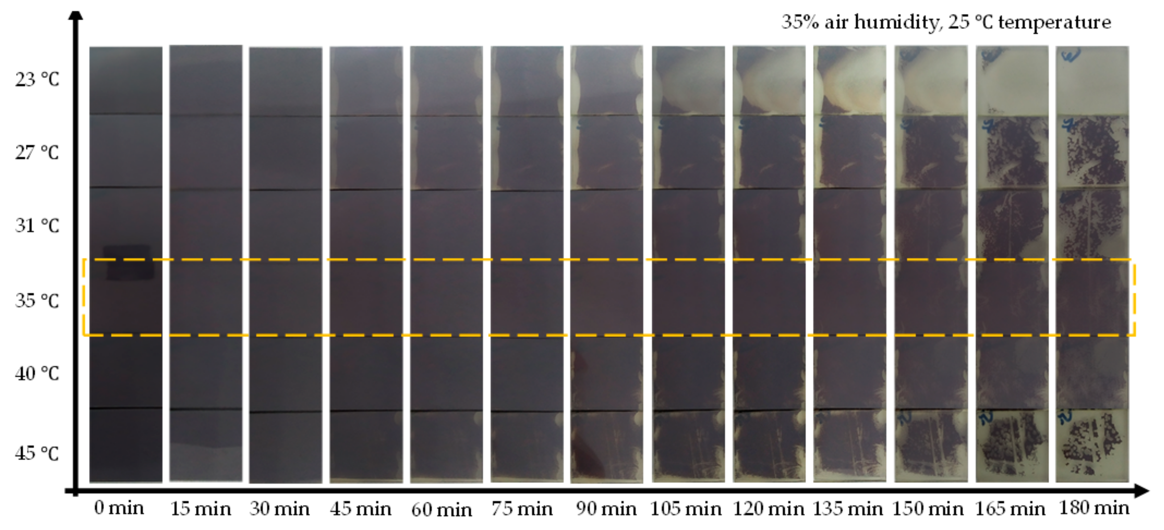 Molecules 26 03398 g004 Molecules 26 03398 g004