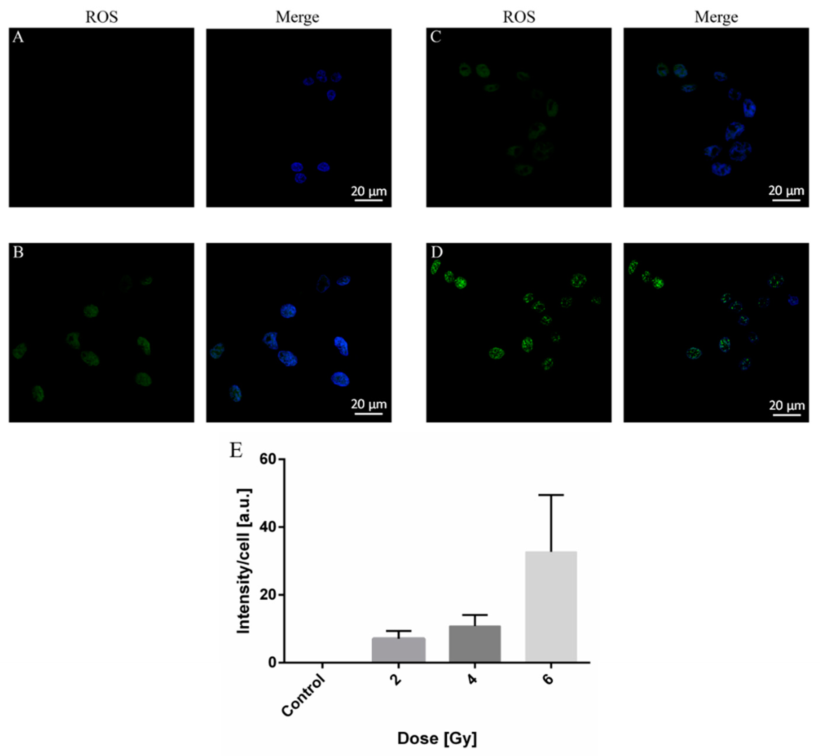 Molecules 26 03403 g003
