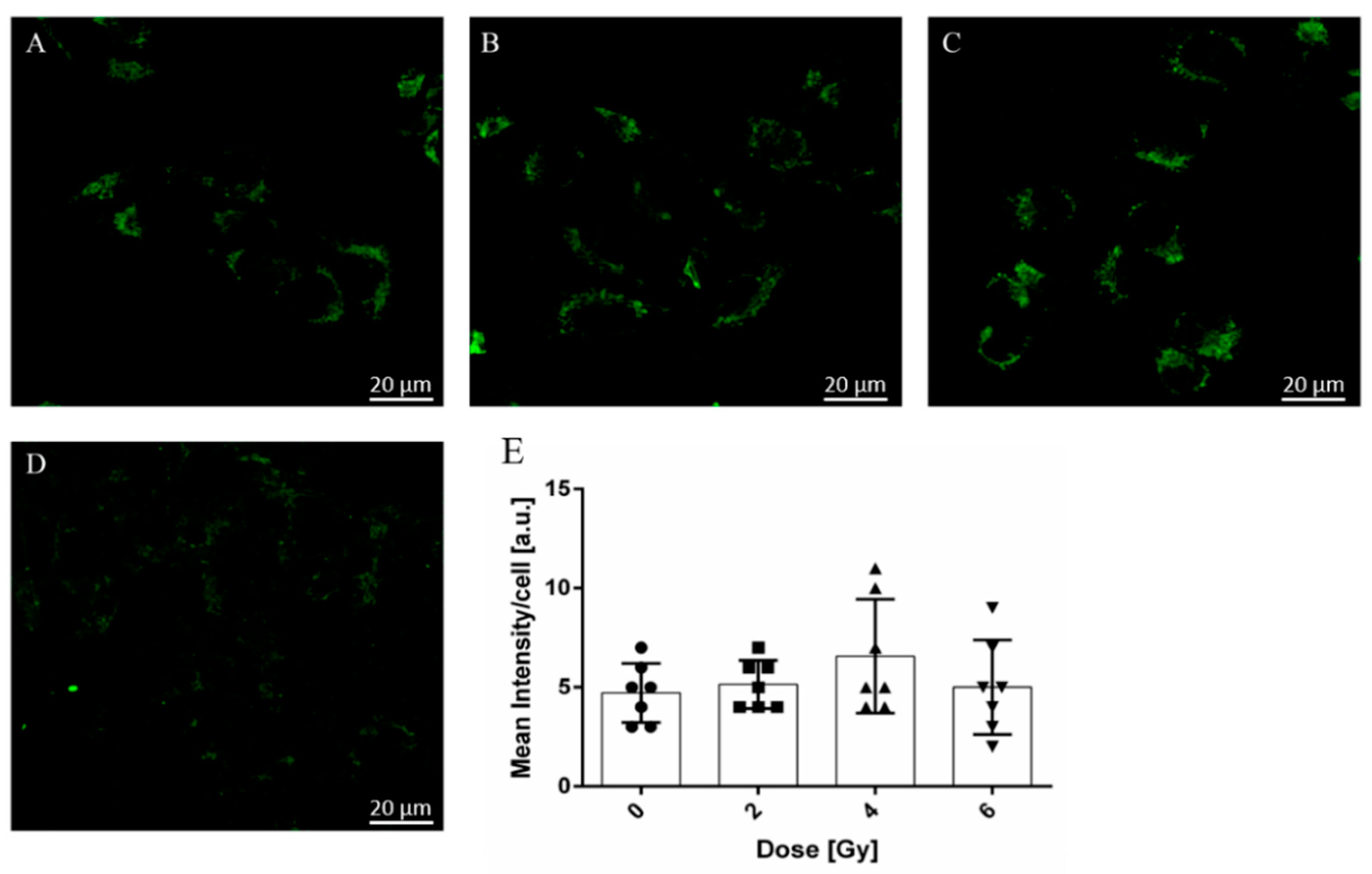 Molecules 26 03403 g004