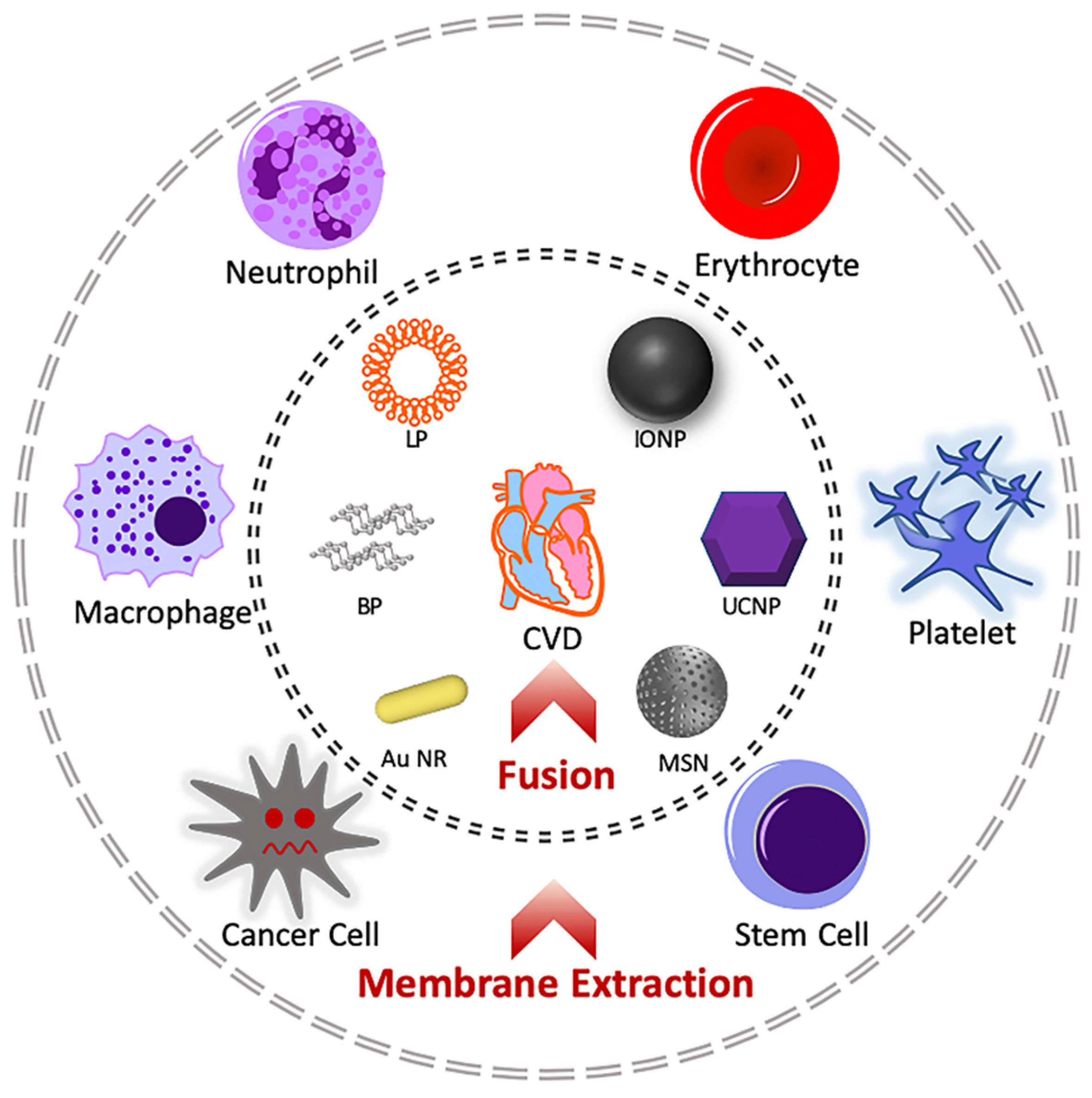 Molecules 26 03428 g002 Molecules 26 03428 g002