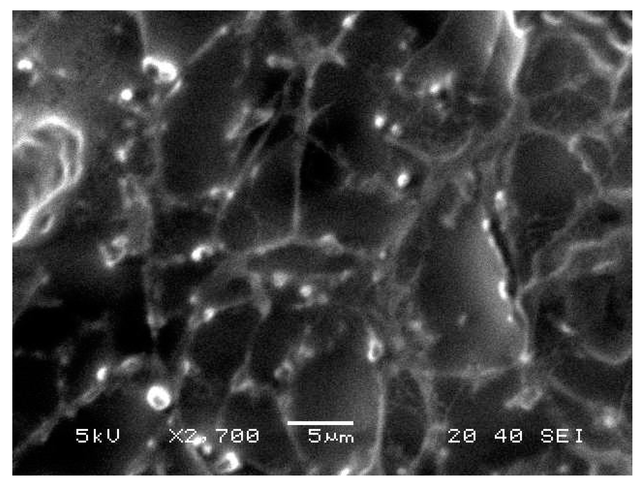 Molecules 26 03454 g006 Molecules 26 03454 g006