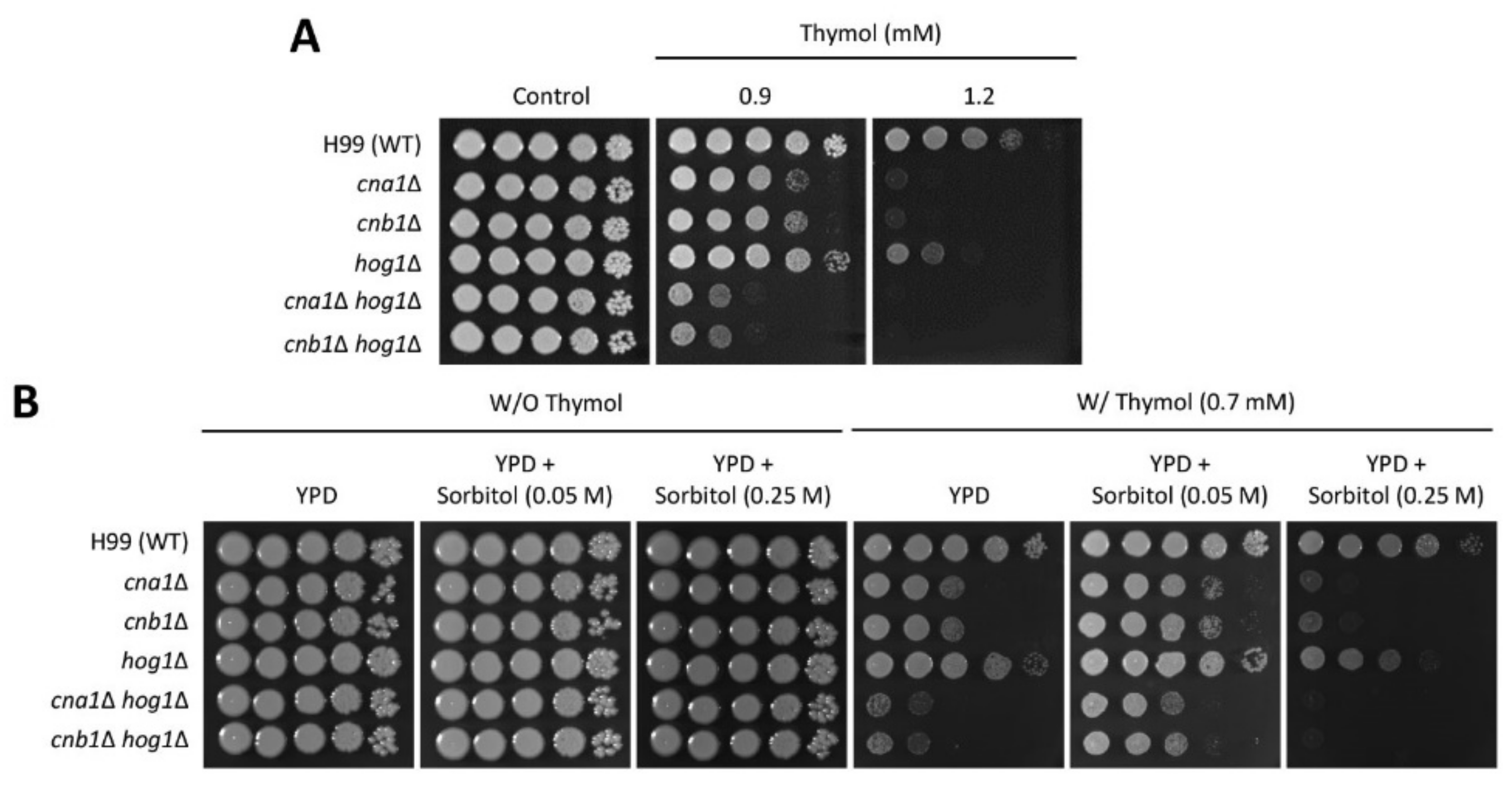 Molecules 26 03476 g005