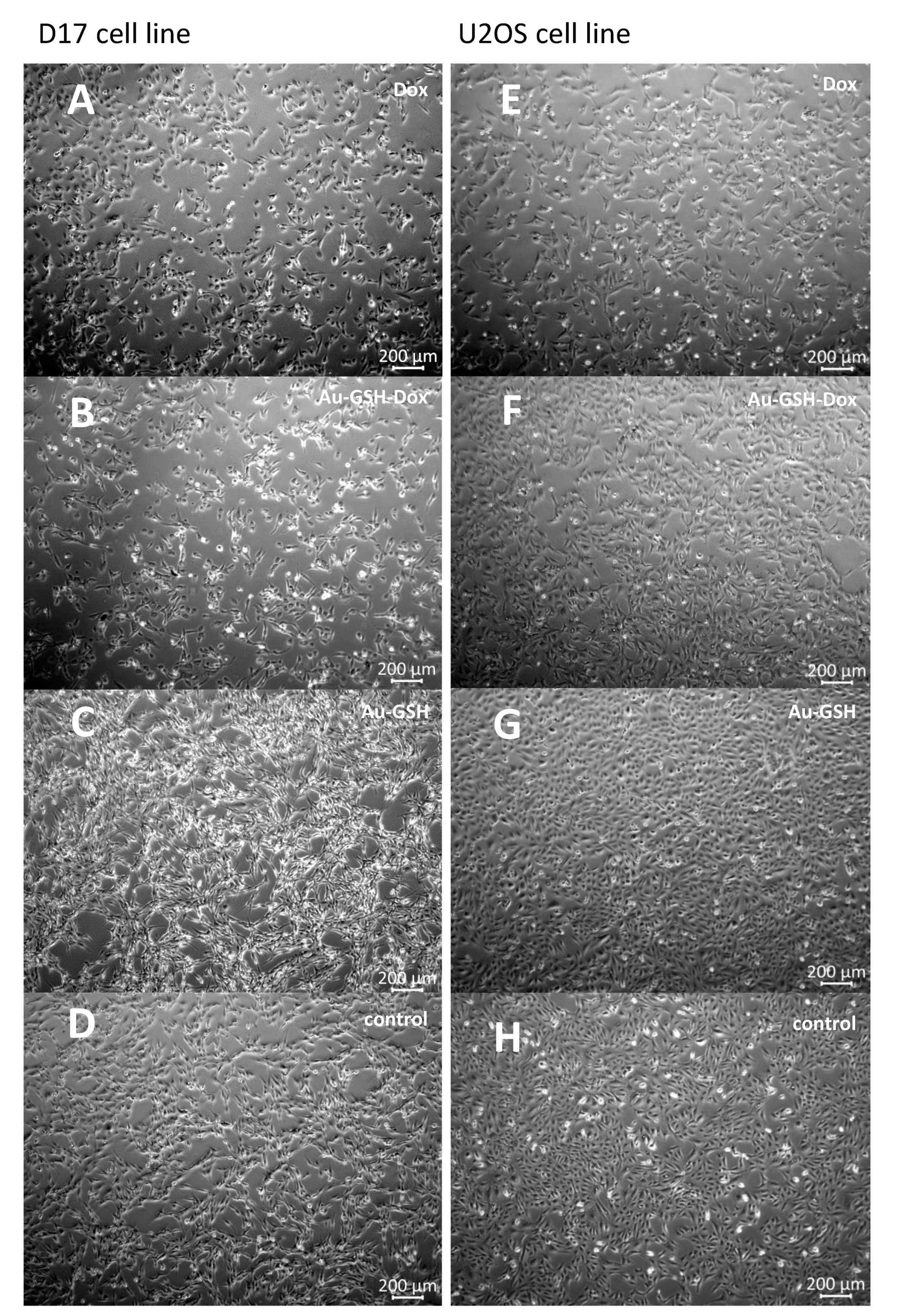 Molecules 26 03487 g005 Molecules 26 03487 g005