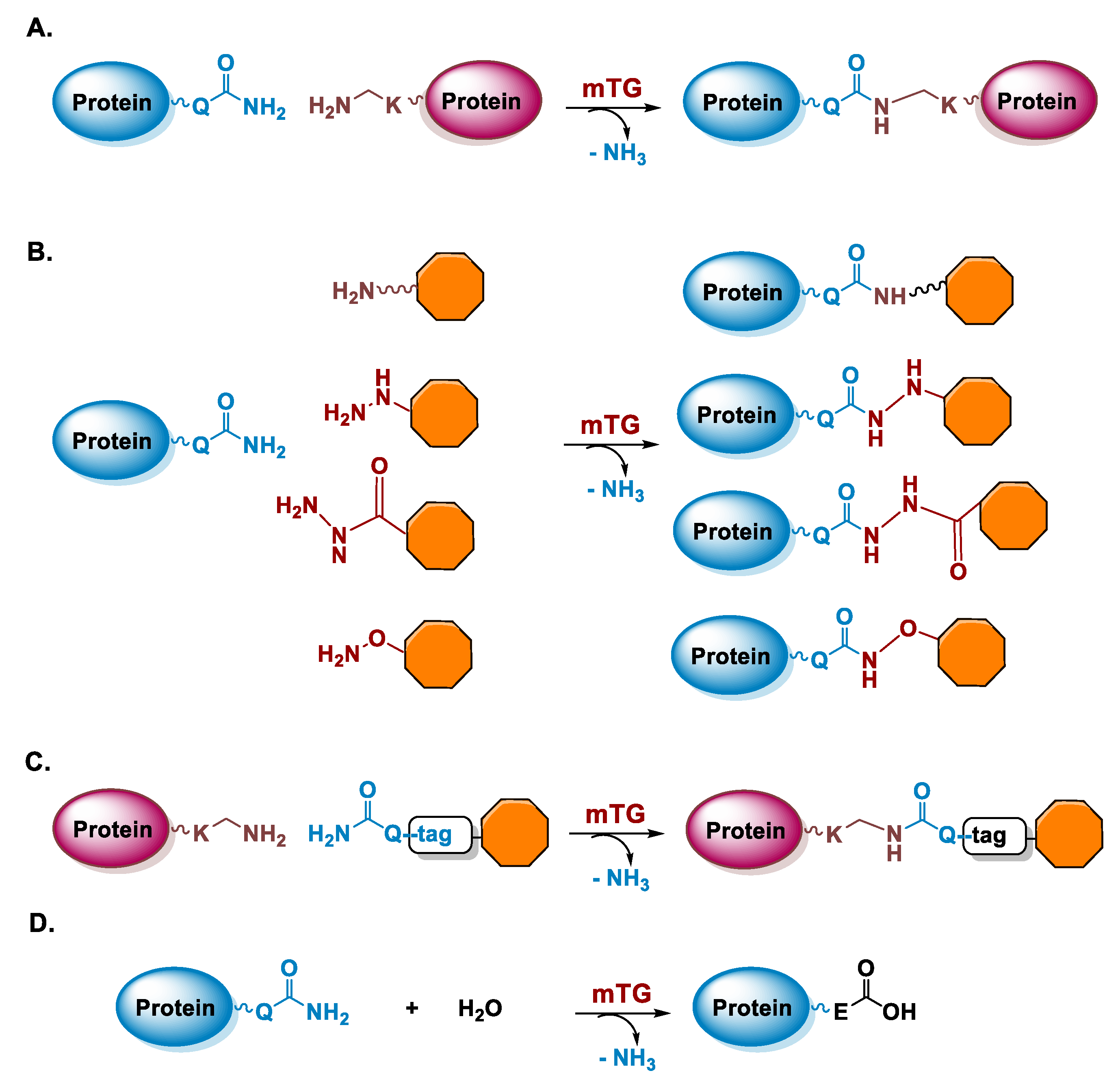 Molecules 26 03492 g002