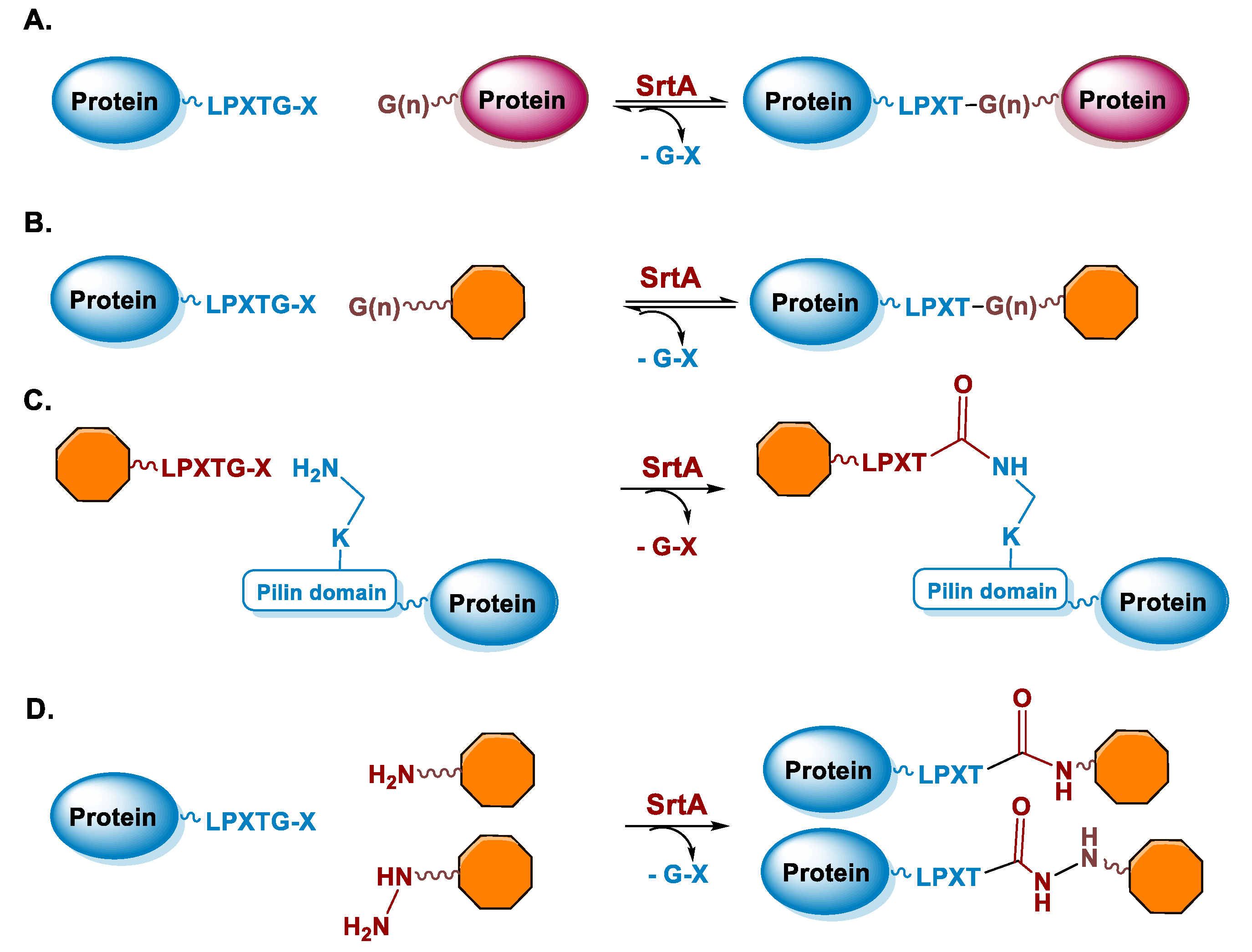 Molecules 26 03492 g003