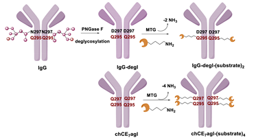 Molecules 26 03492 i026