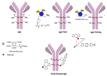 Molecules 26 03492 i032