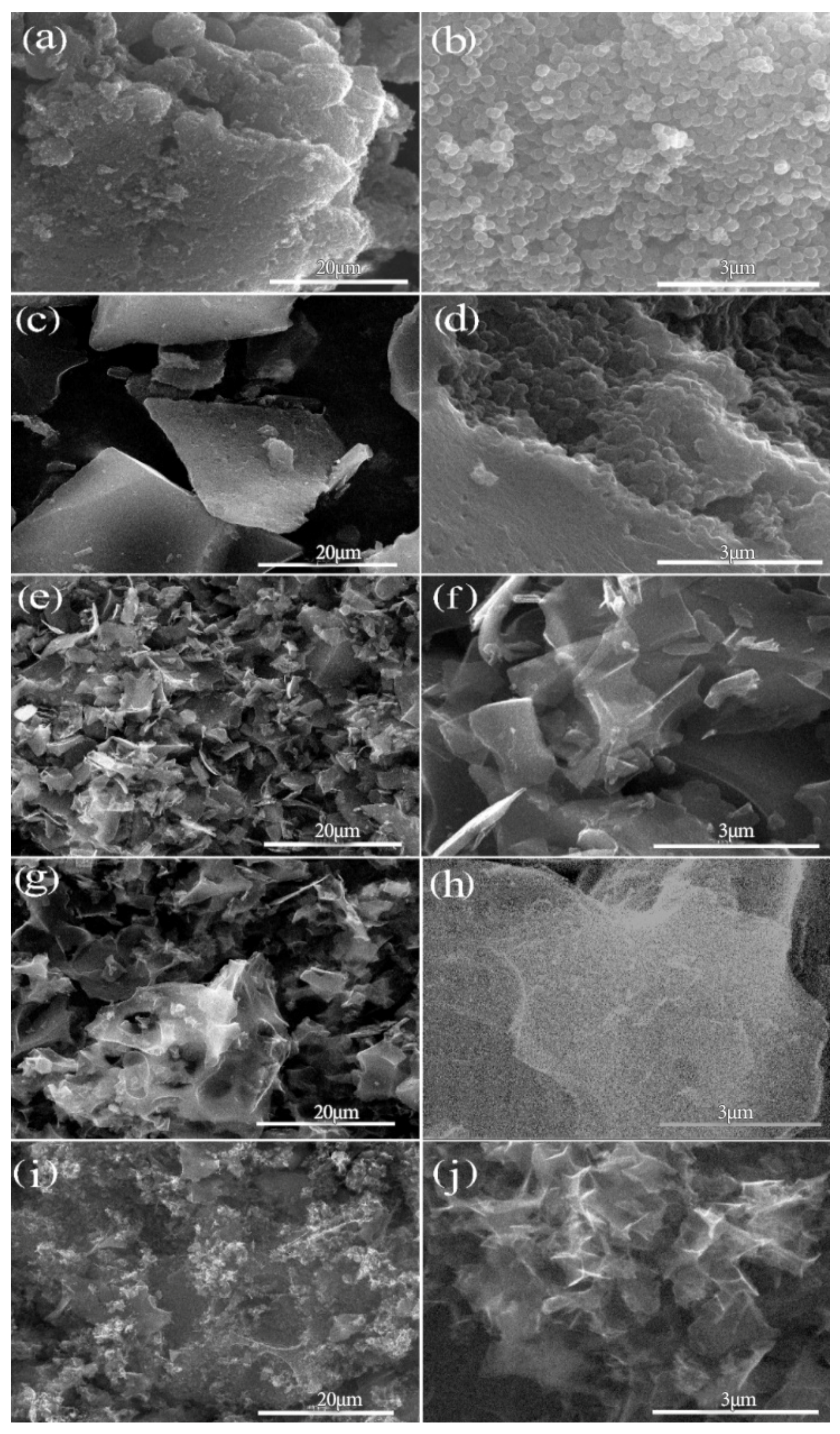 Molecules 26 03499 g006 Molecules 26 03499 g006