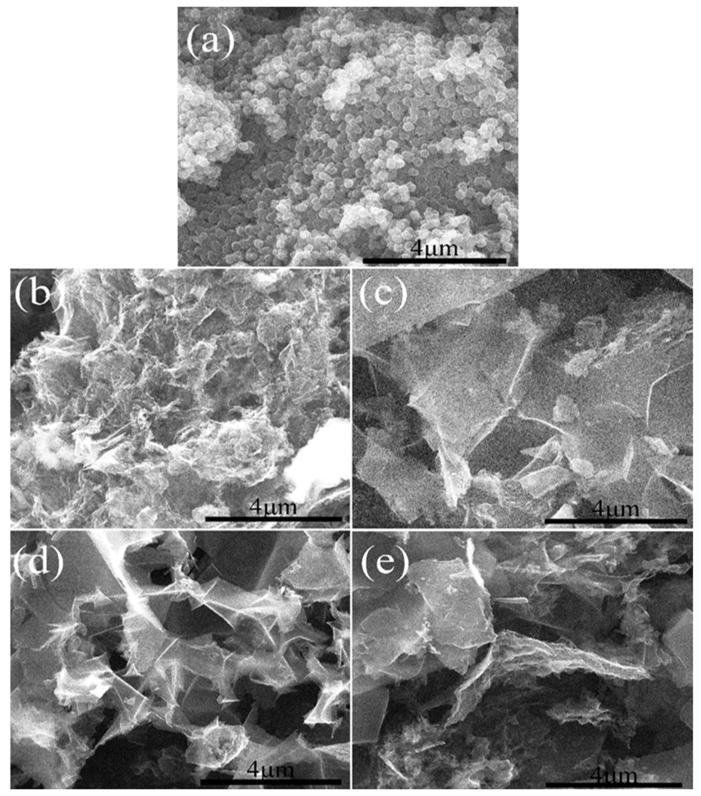 Molecules 26 03499 g007 Molecules 26 03499 g007