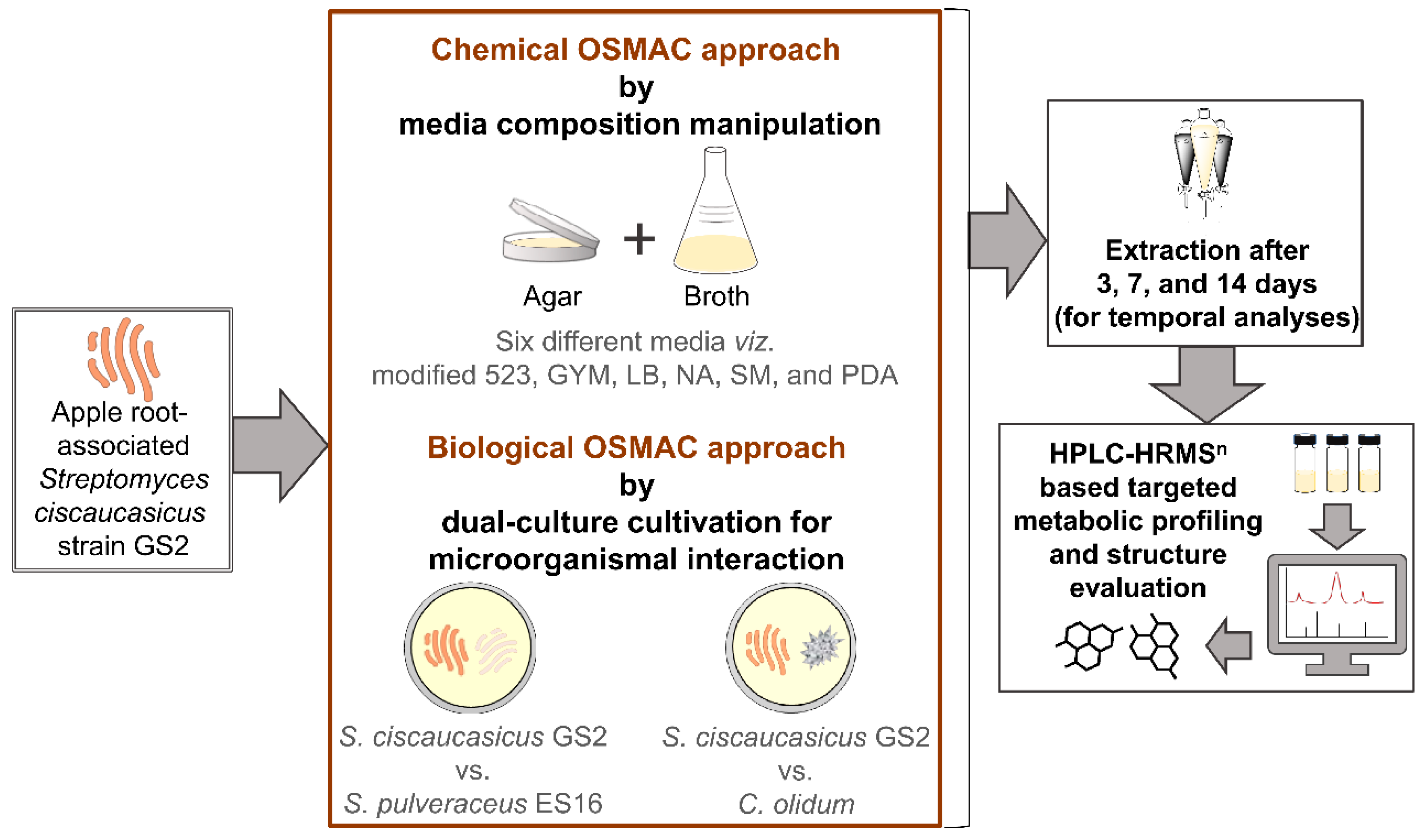 Molecules 26 03517 g001