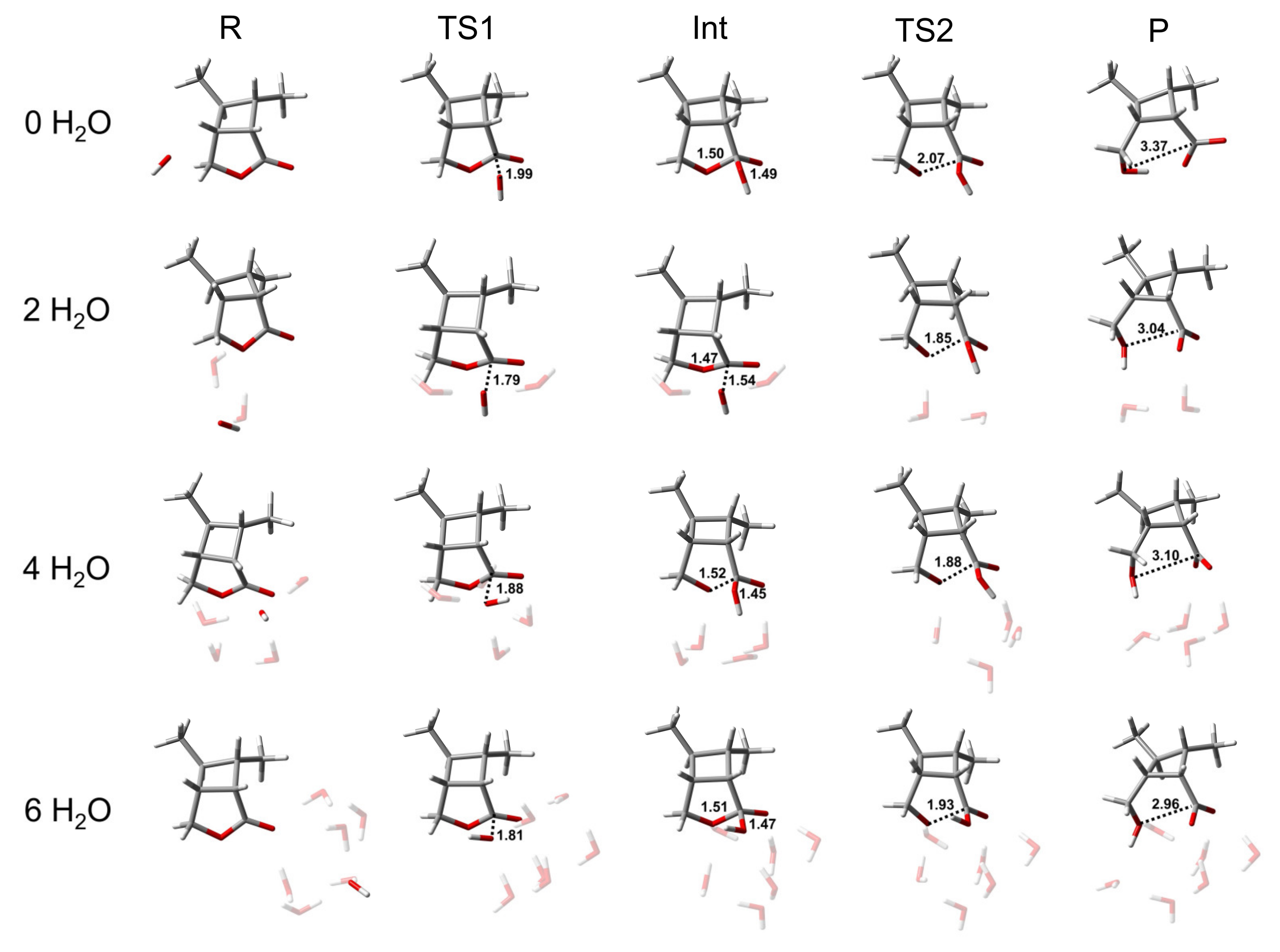 Molecules 26 03519 g002 Molecules 26 03519 g002