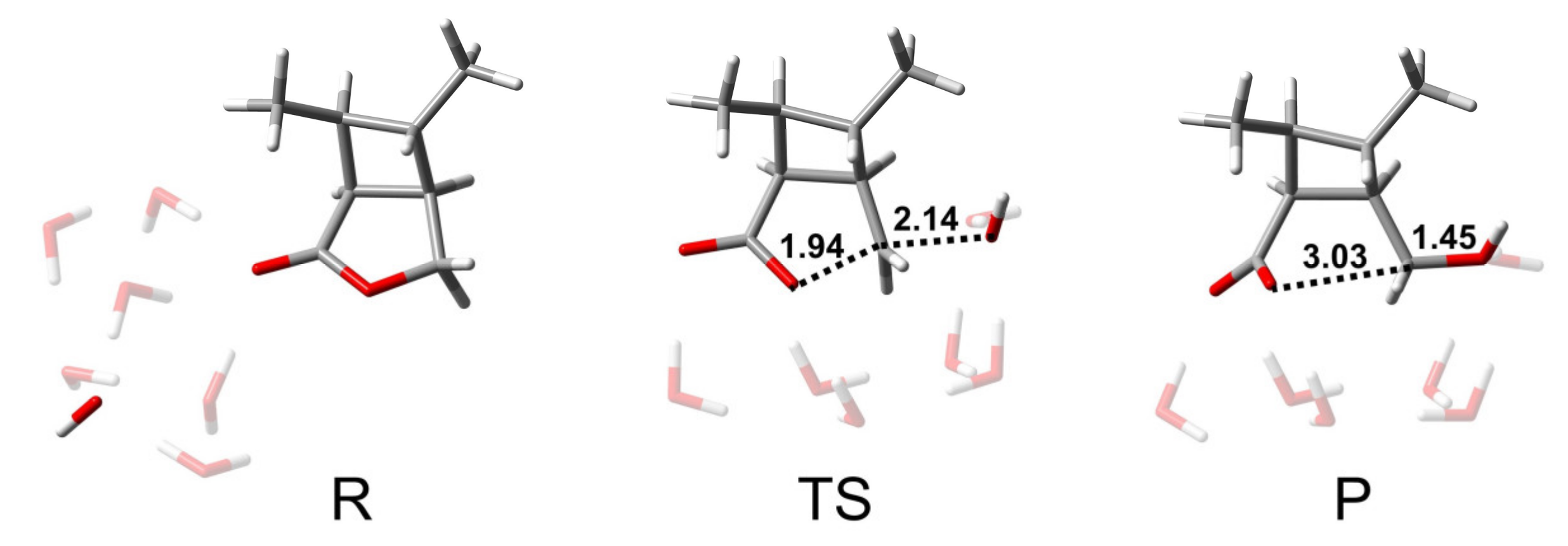 Molecules 26 03519 g003 Molecules 26 03519 g003