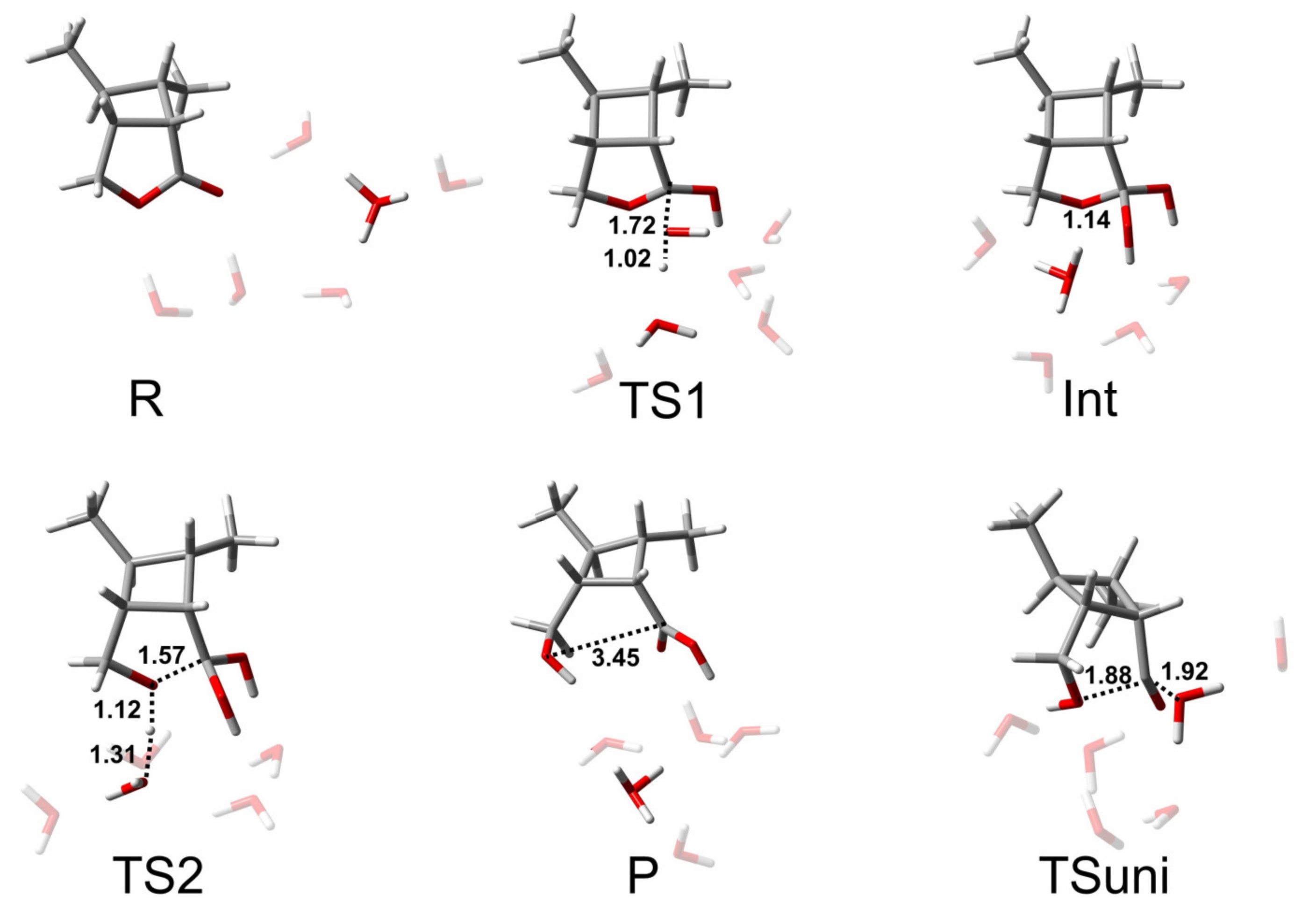 Molecules 26 03519 g006 Molecules 26 03519 g006