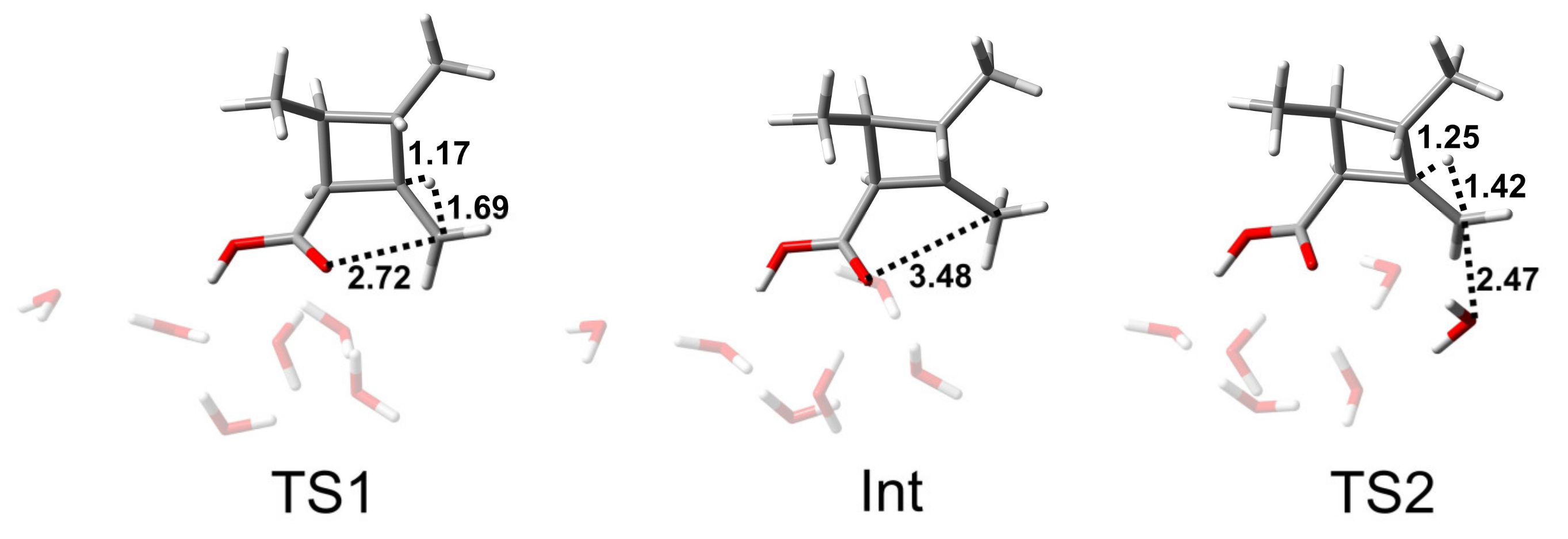 Molecules 26 03519 g008 Molecules 26 03519 g008