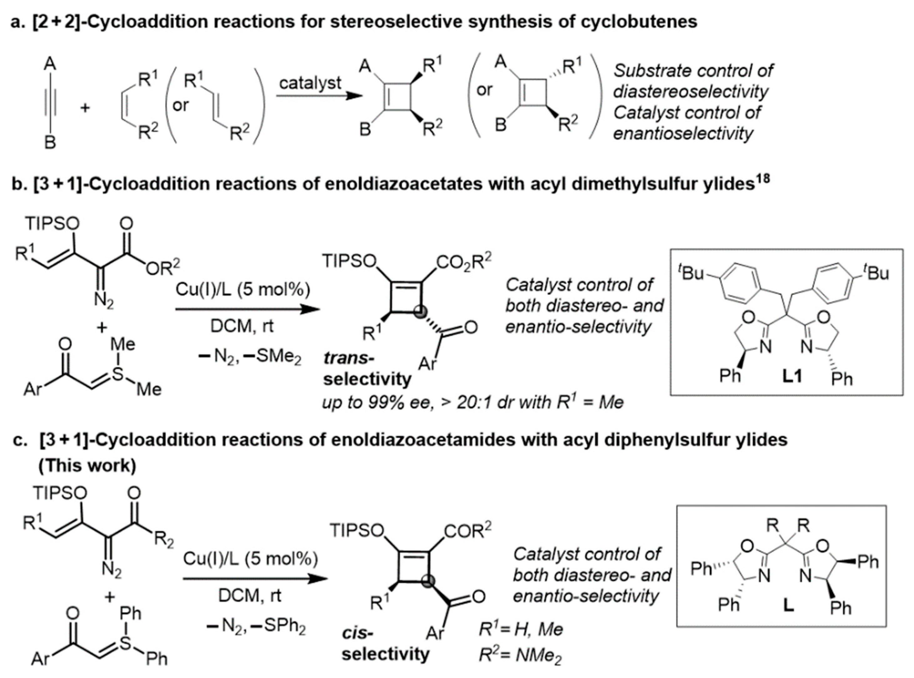 Molecules 26 03520 g001