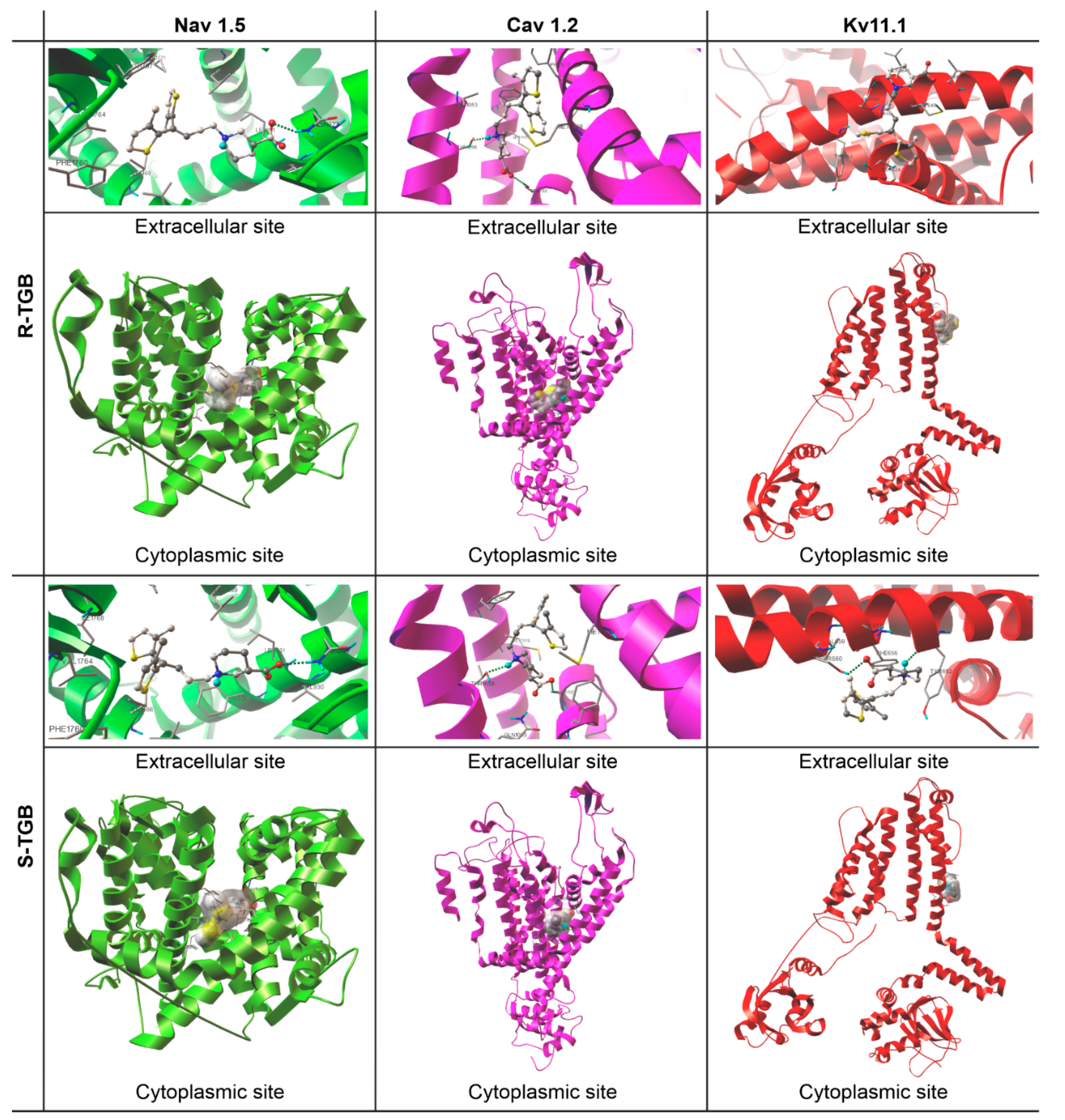 Molecules 26 03522 g003