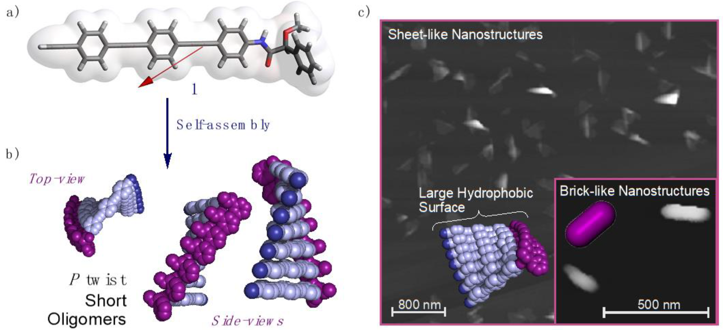 Molecules 26 03530 g001