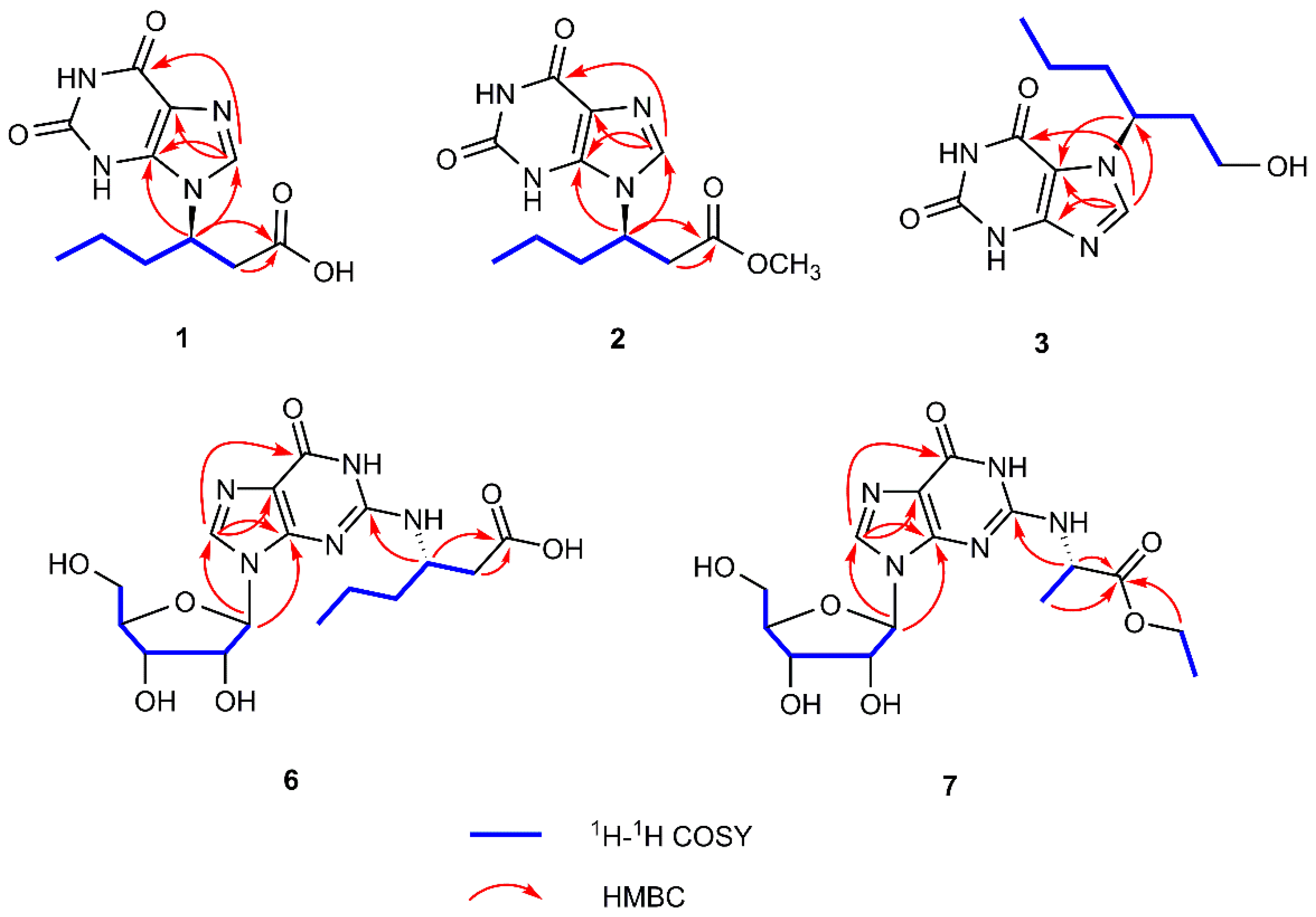Molecules 26 03531 g002
