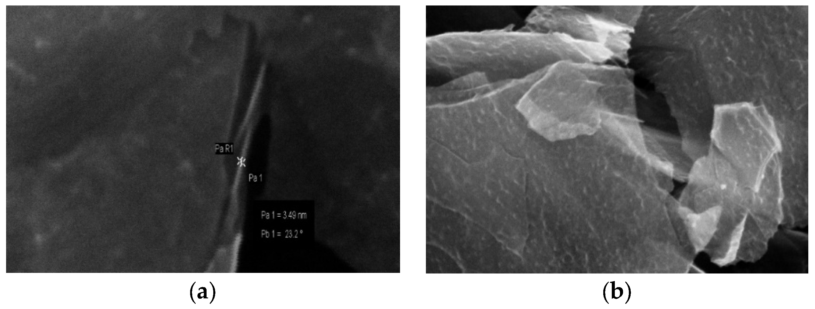 Molecules 26 03541 g004 Molecules 26 03541 g004