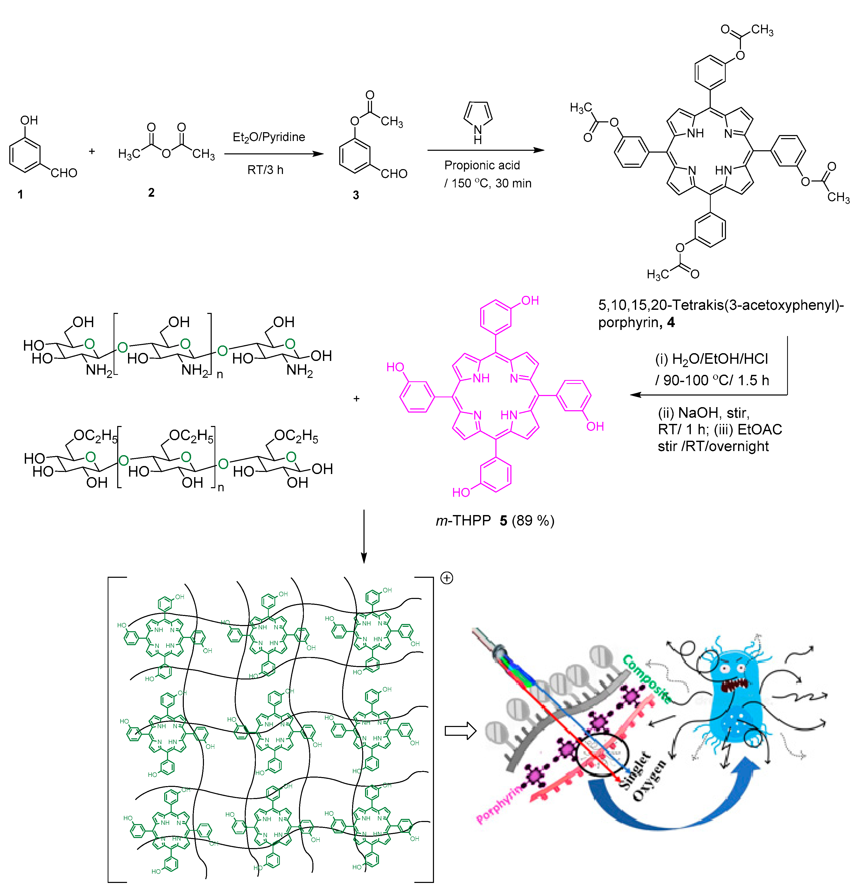 Molecules 26 03551 g001 Molecules 26 03551 g001