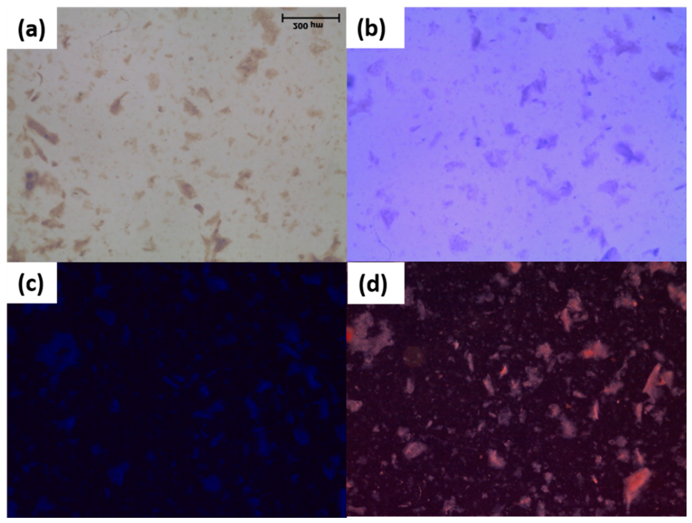 Molecules 26 03551 g002 Molecules 26 03551 g002