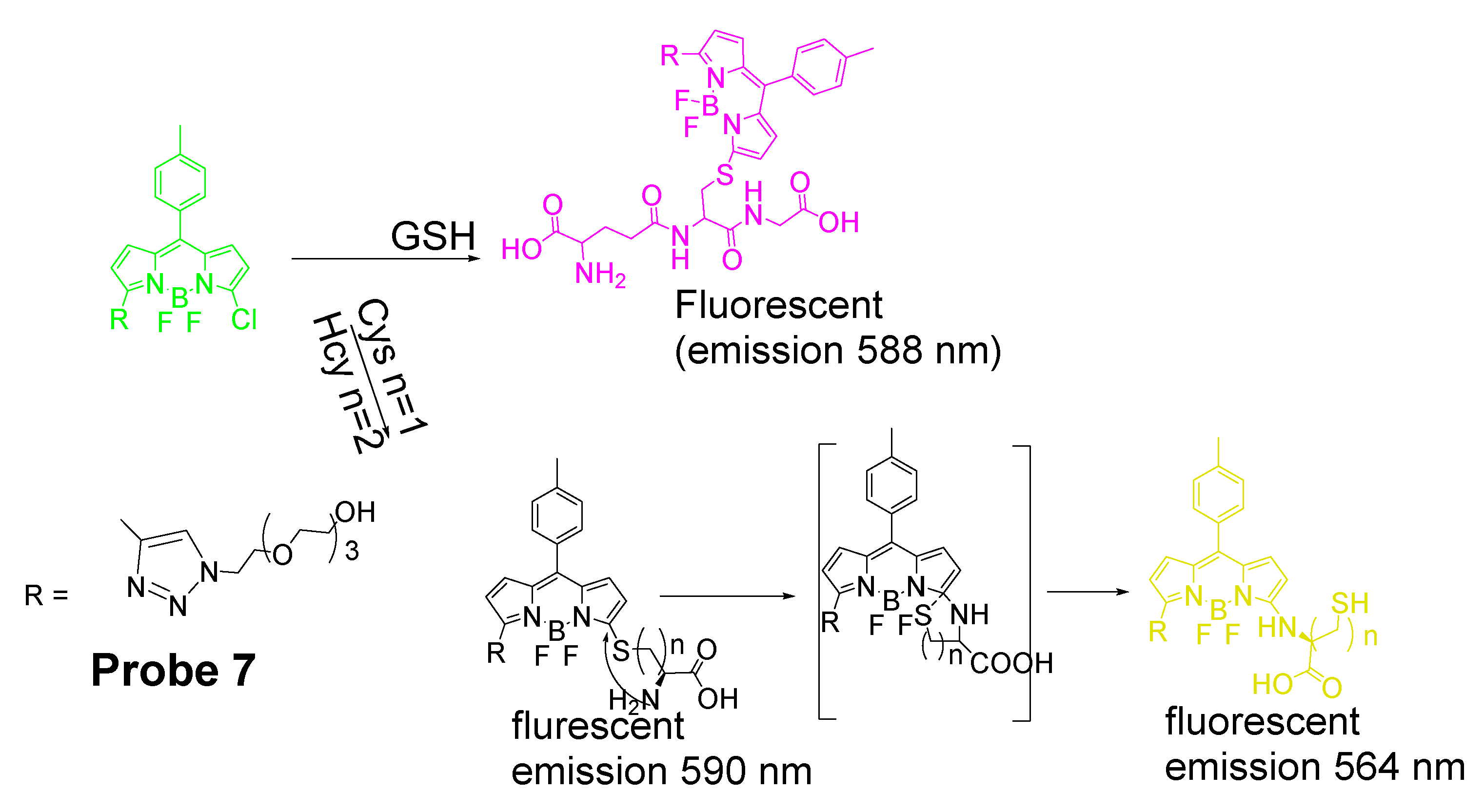 Molecules | Free Full-Text | Fluorescent Probes for Live Cell Thiol ...