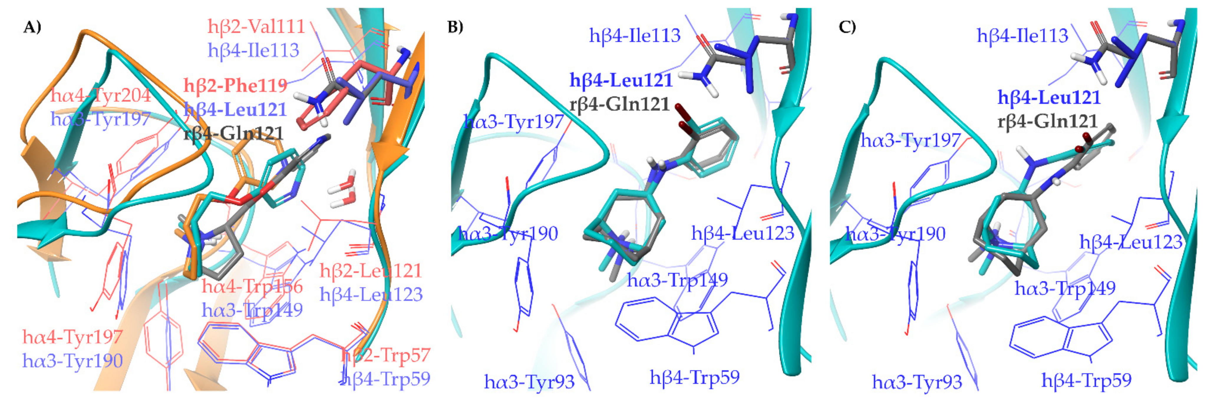 Molecules 26 03603 g004
