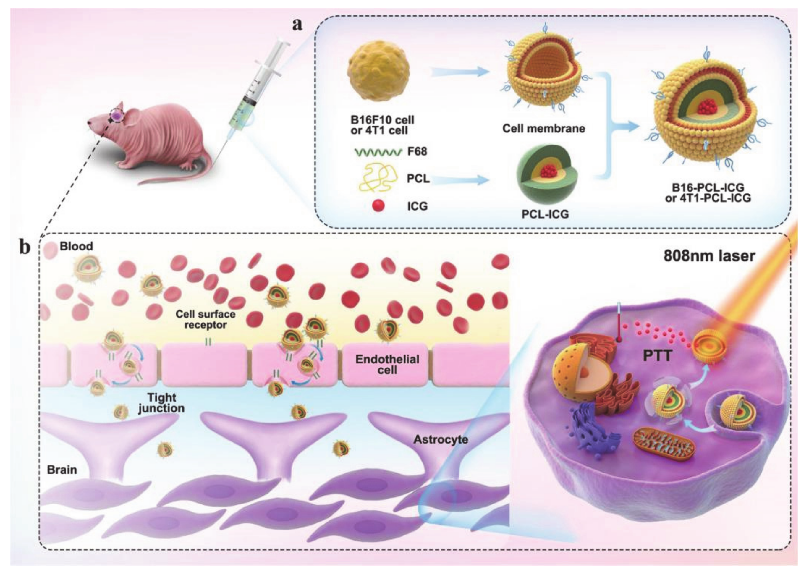 Molecules 26 03610 g005 Molecules 26 03610 g005