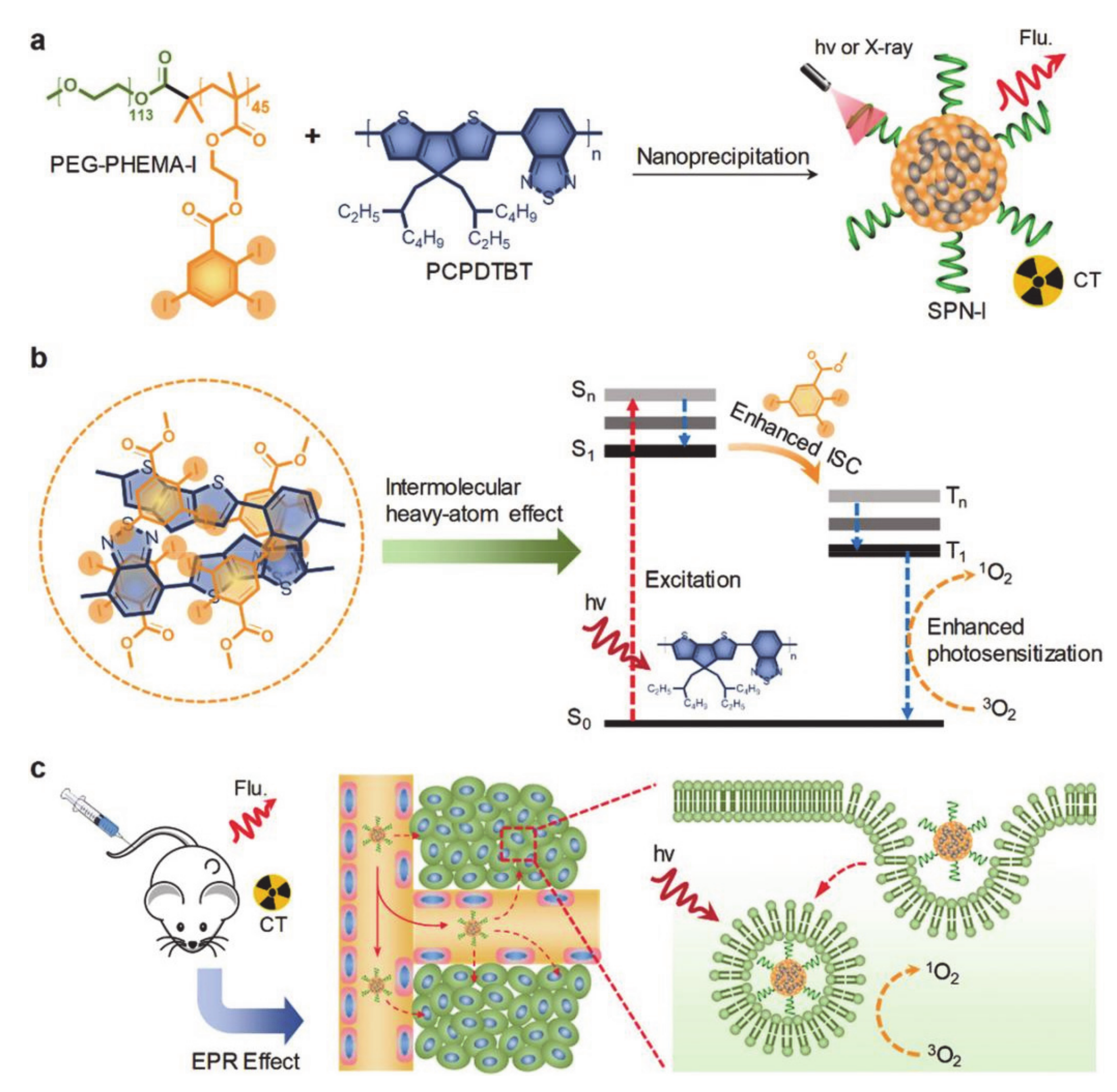 Molecules 26 03610 g006 Molecules 26 03610 g006