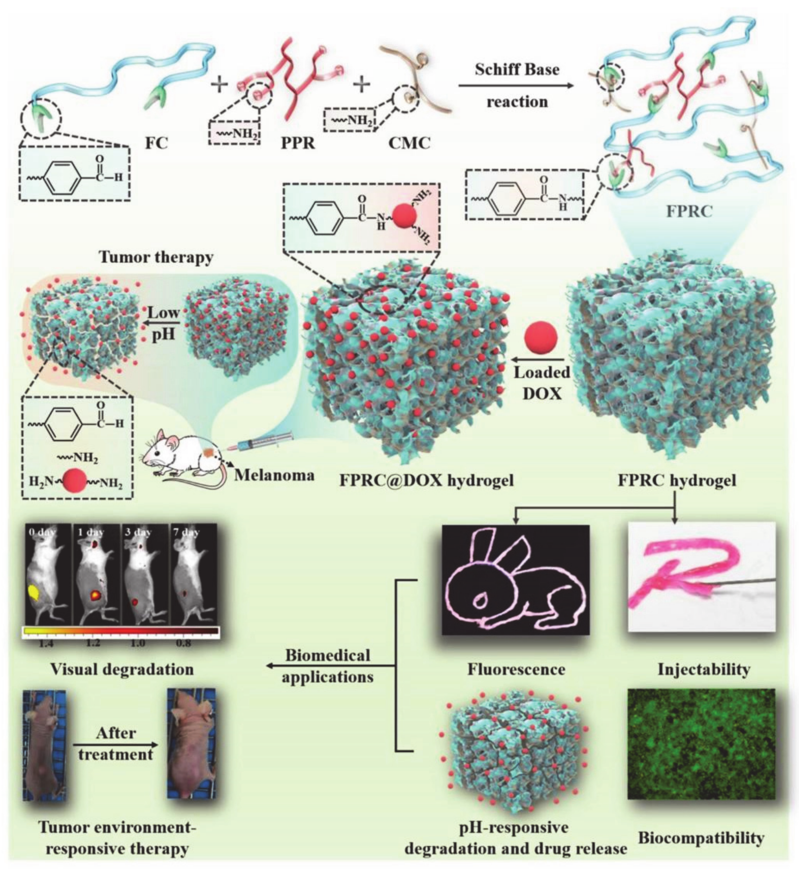 Molecules 26 03610 g007 Molecules 26 03610 g007