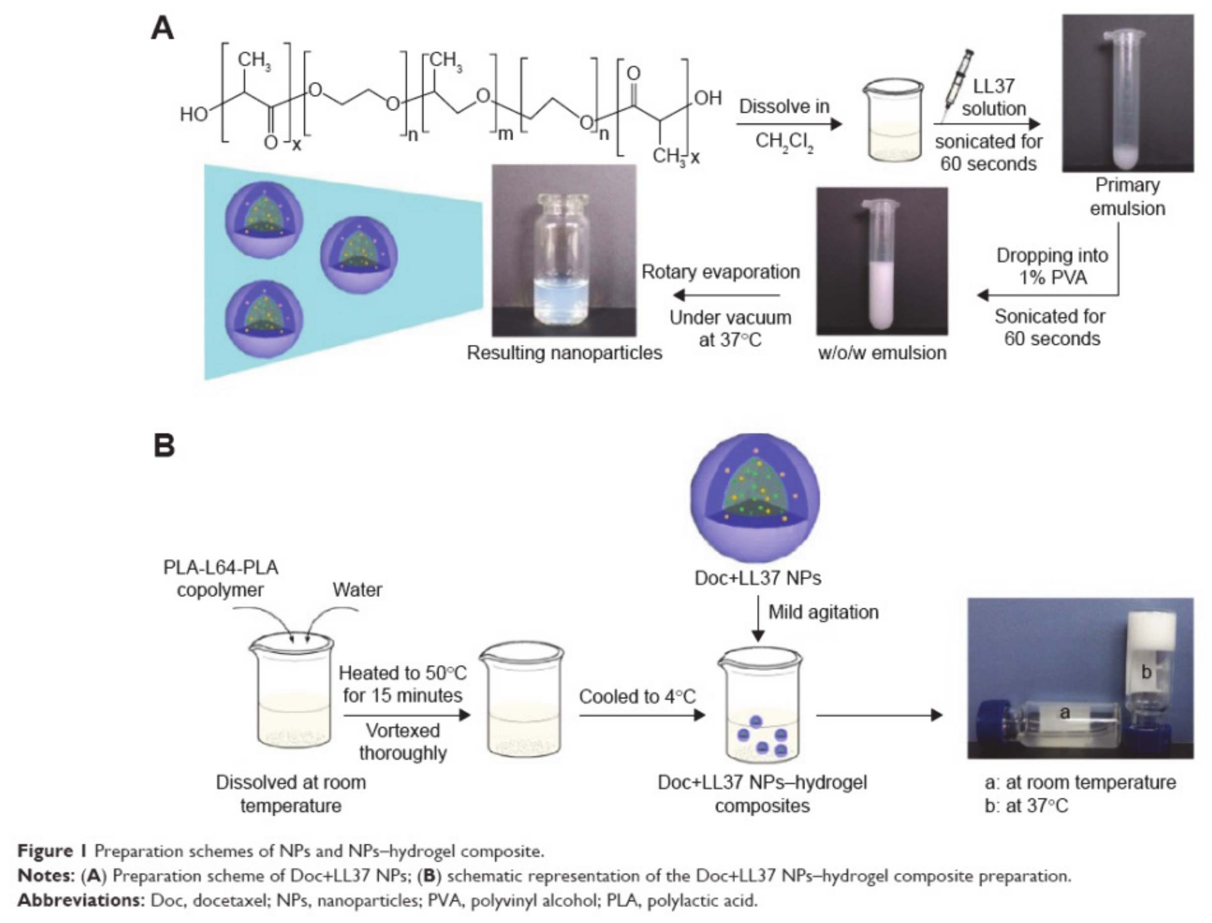 Molecules 26 03610 g013 Molecules 26 03610 g013